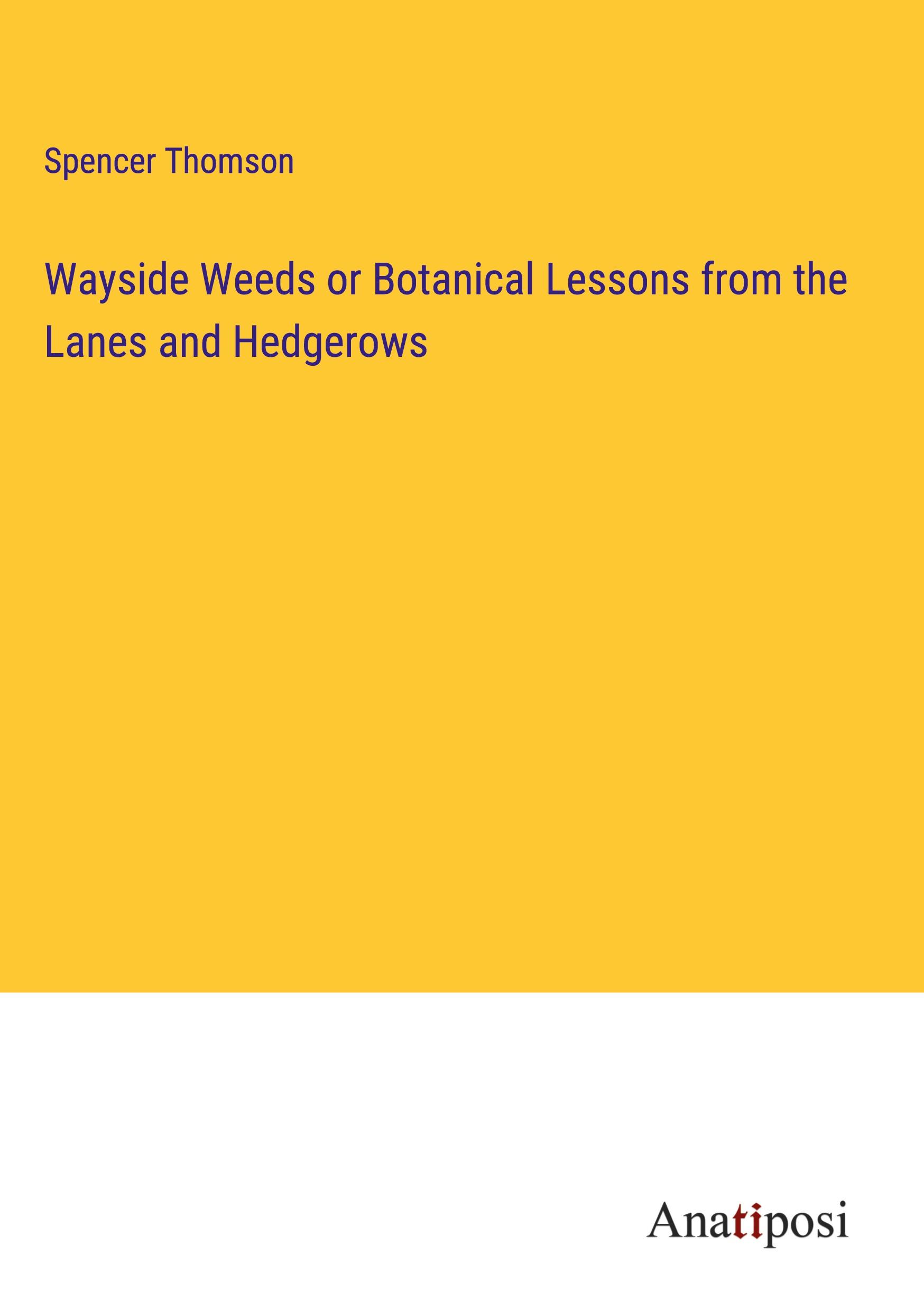 Vorderes Coverbild Wayside Weeds or Botanical Lessons from the Lanes and Hedgerows