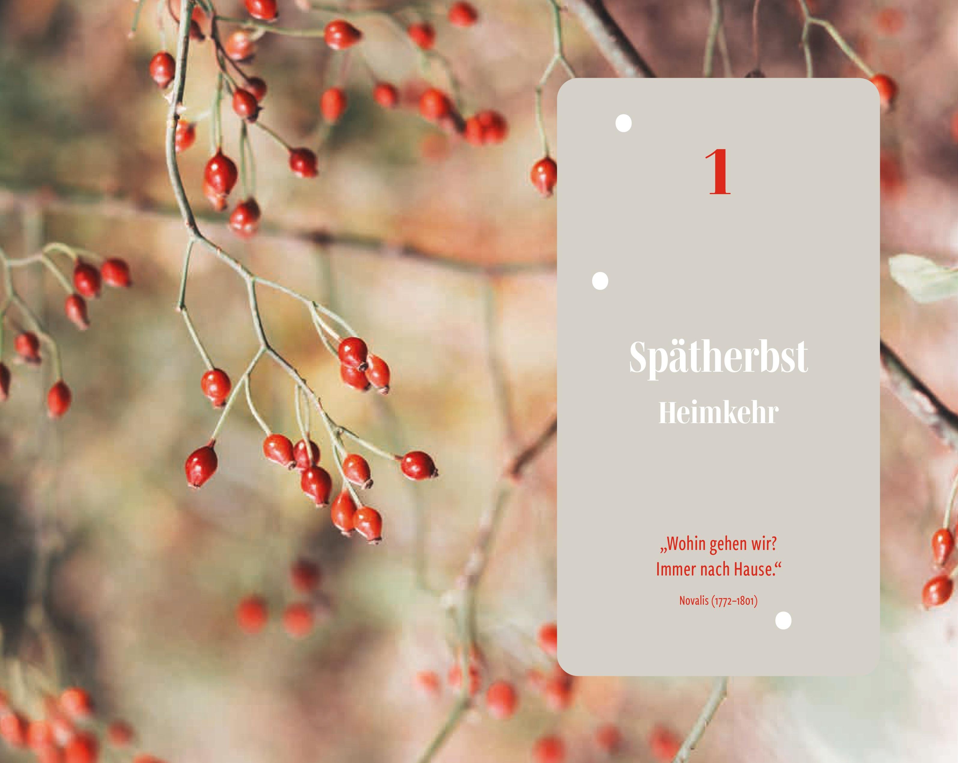 Beispielinhalt (Bild) Lieber Winter!