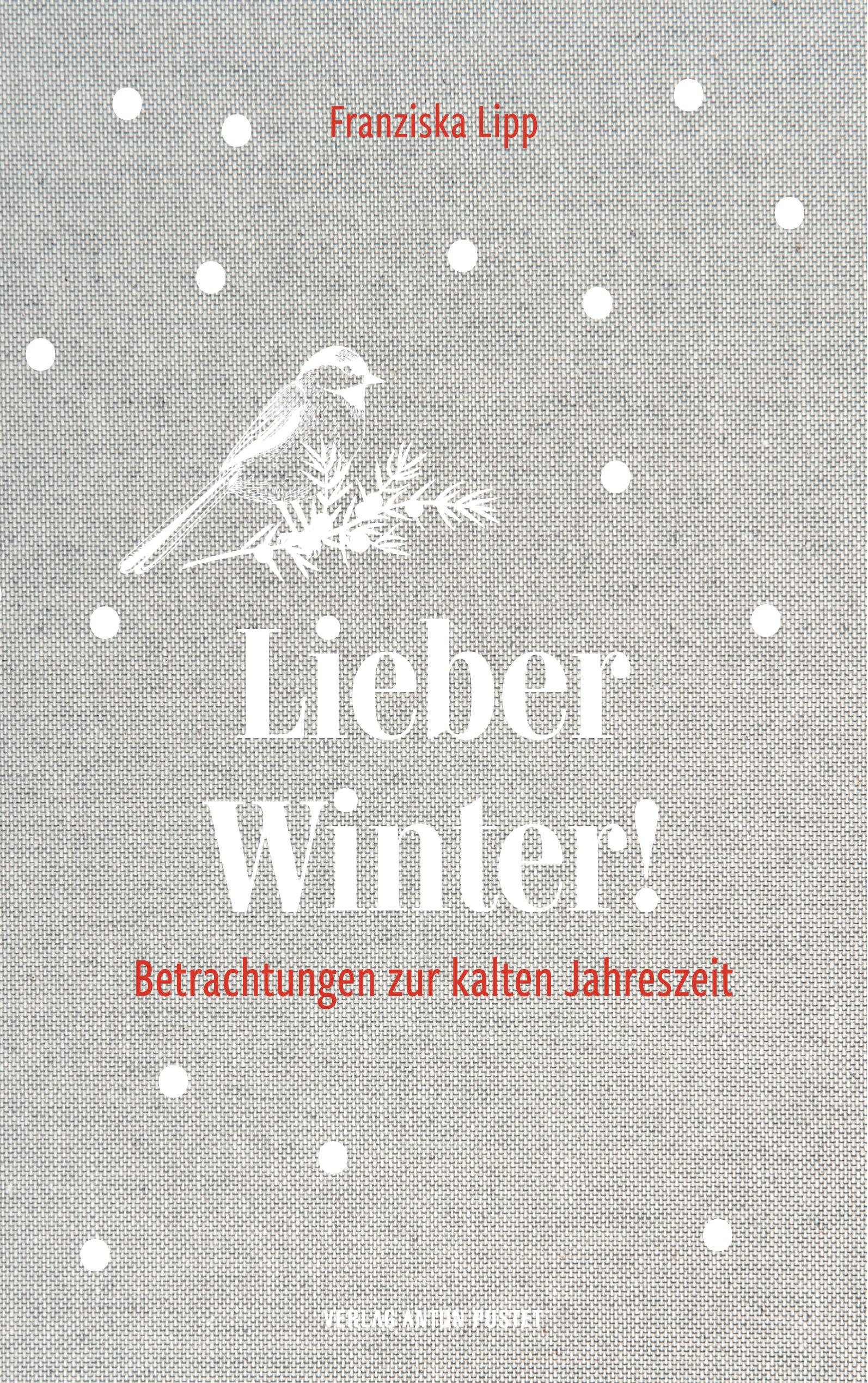 Vorderes Coverbild Lieber Winter!