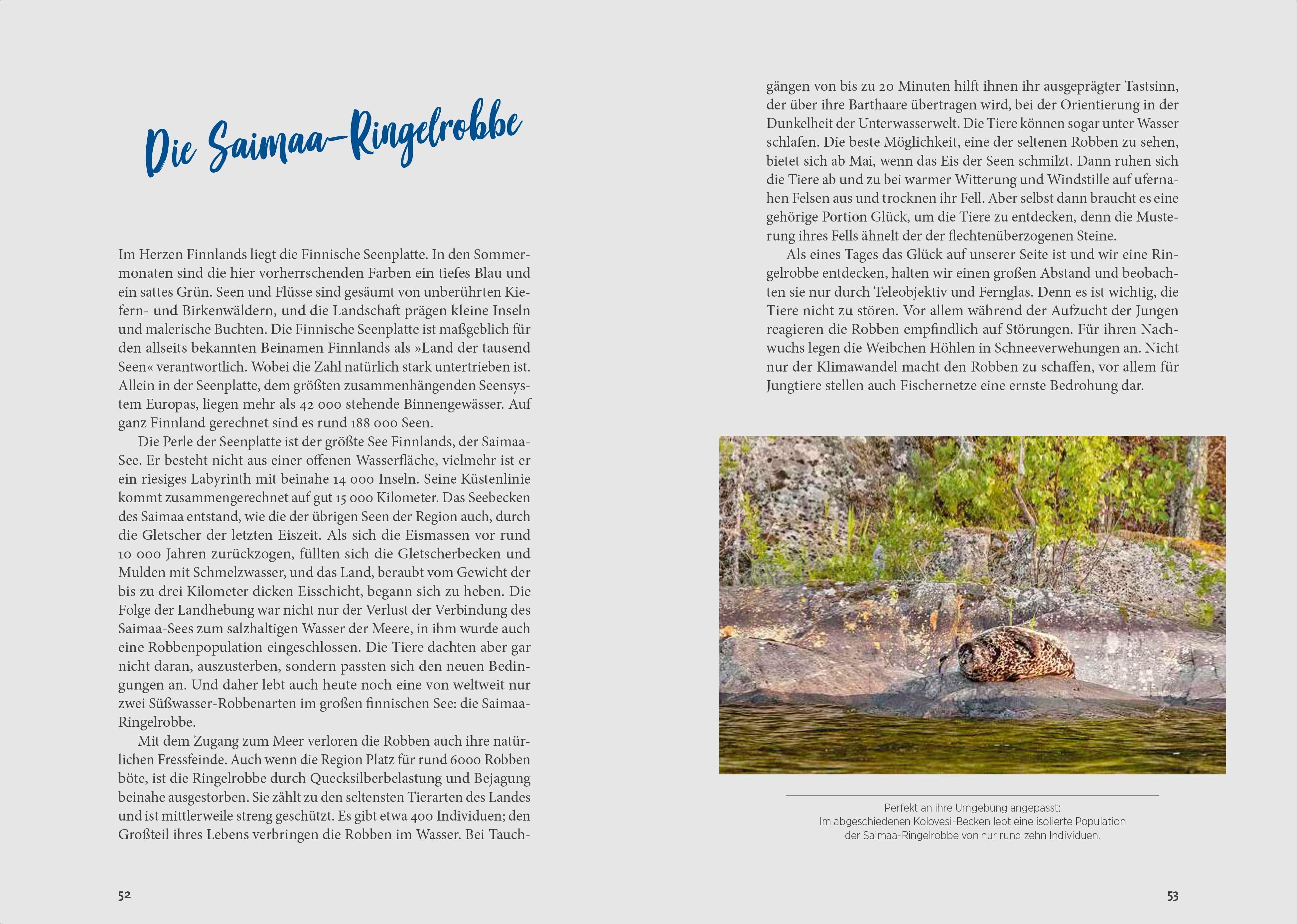 Beispielinhalt (Bild) Warum die Finnen so glücklich sind