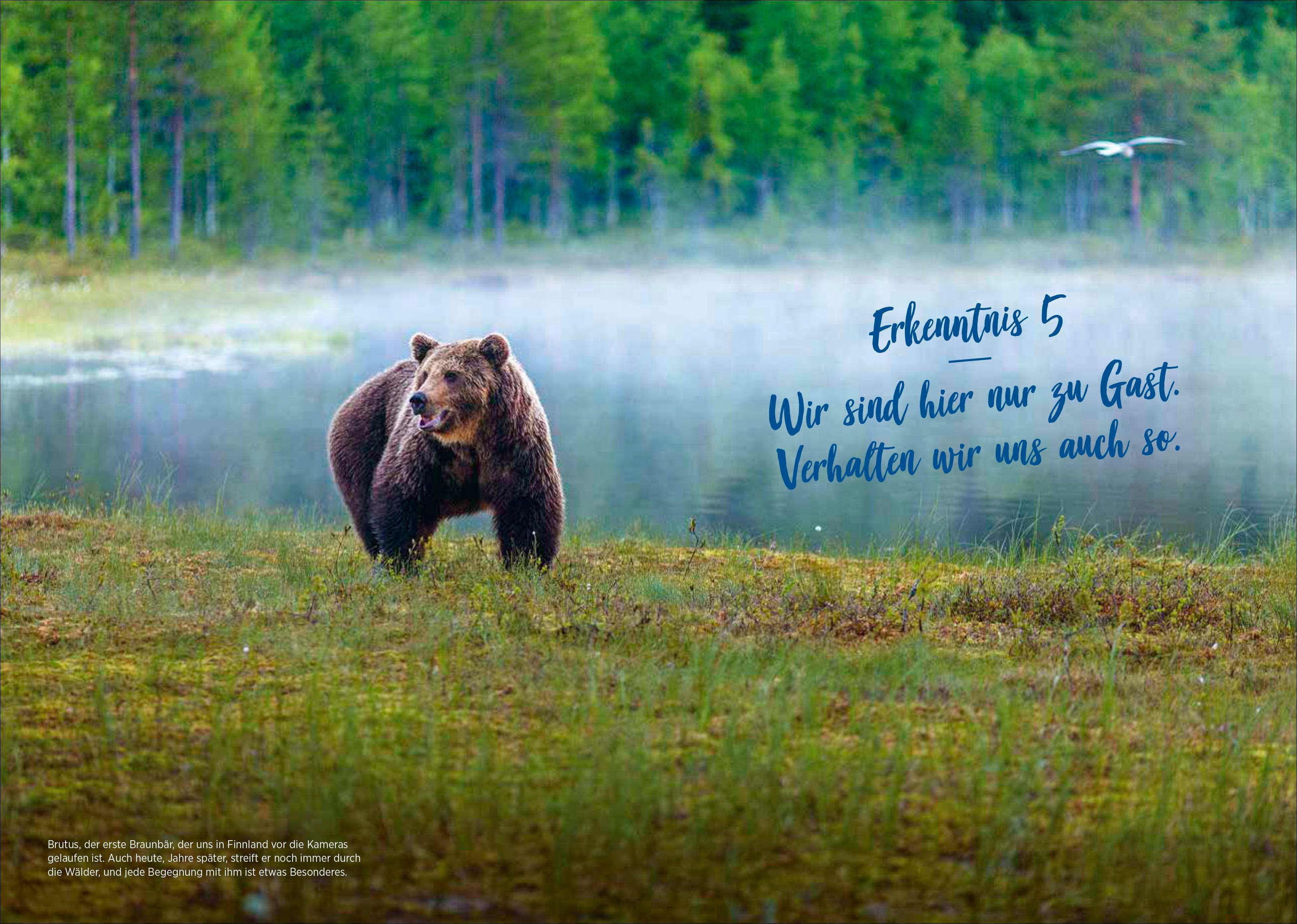 Beispielinhalt (Bild) Warum die Finnen so glücklich sind