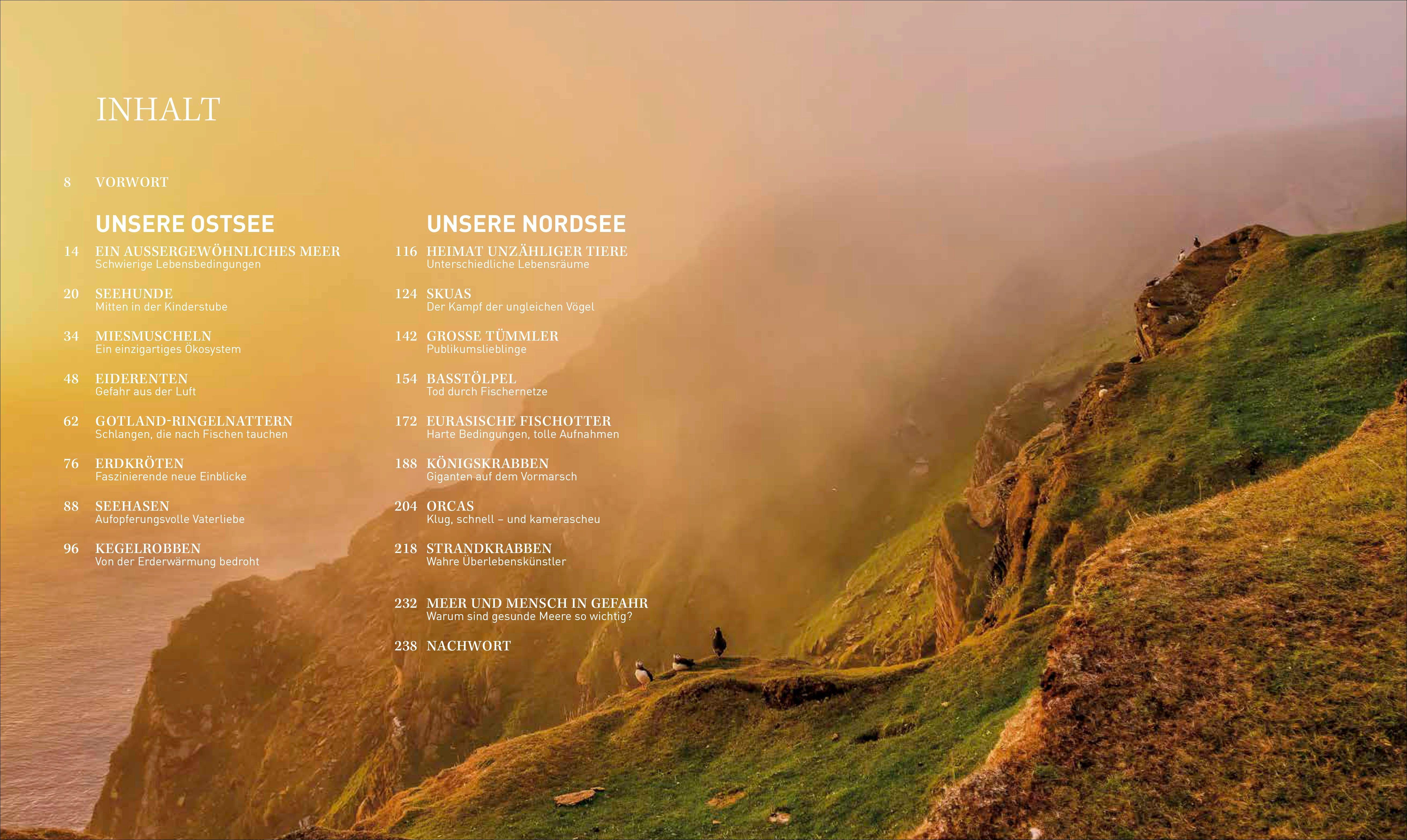 Beispielinhalt (Bild) Bildband - Unsere Meere