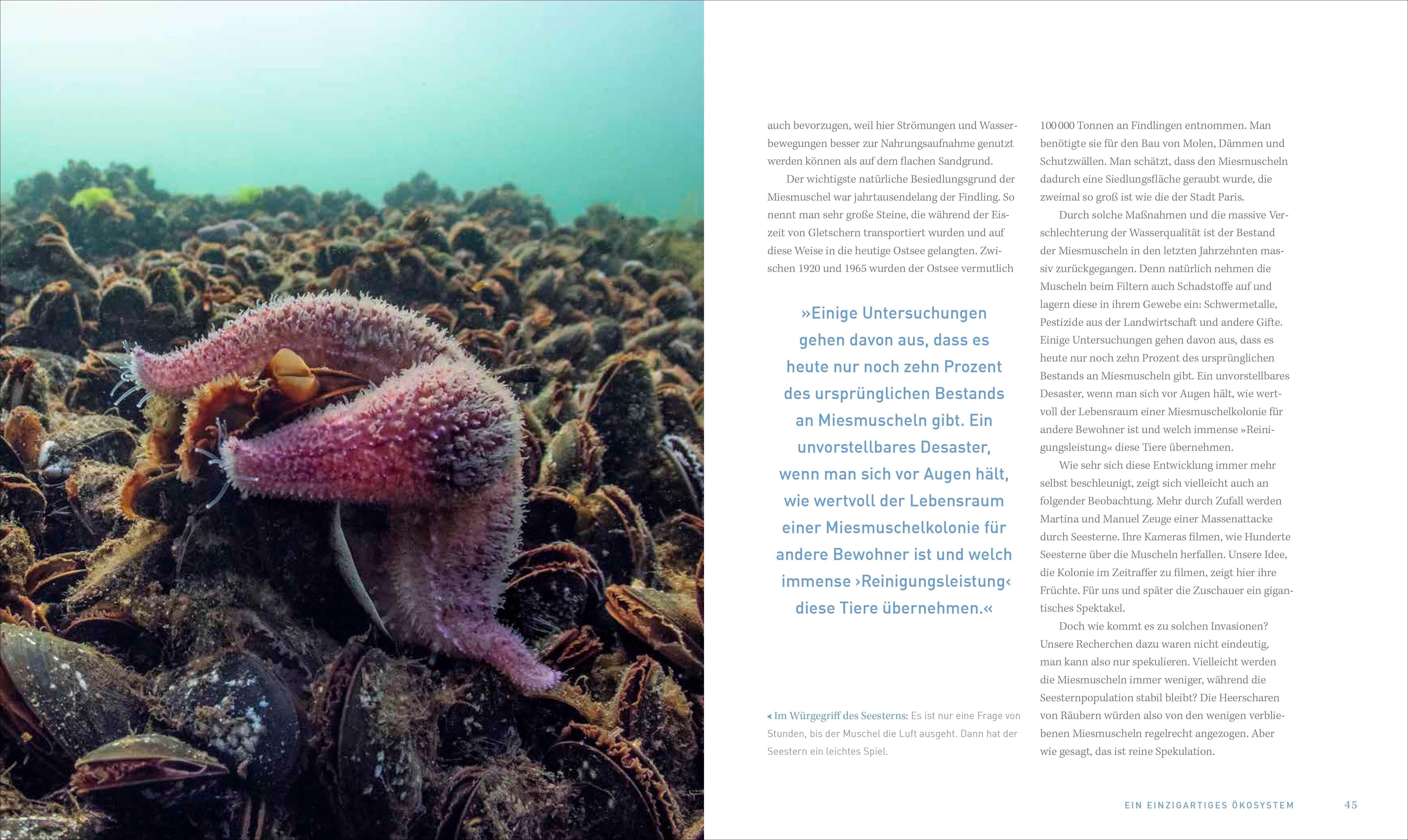 Beispielinhalt (Bild) Bildband - Unsere Meere