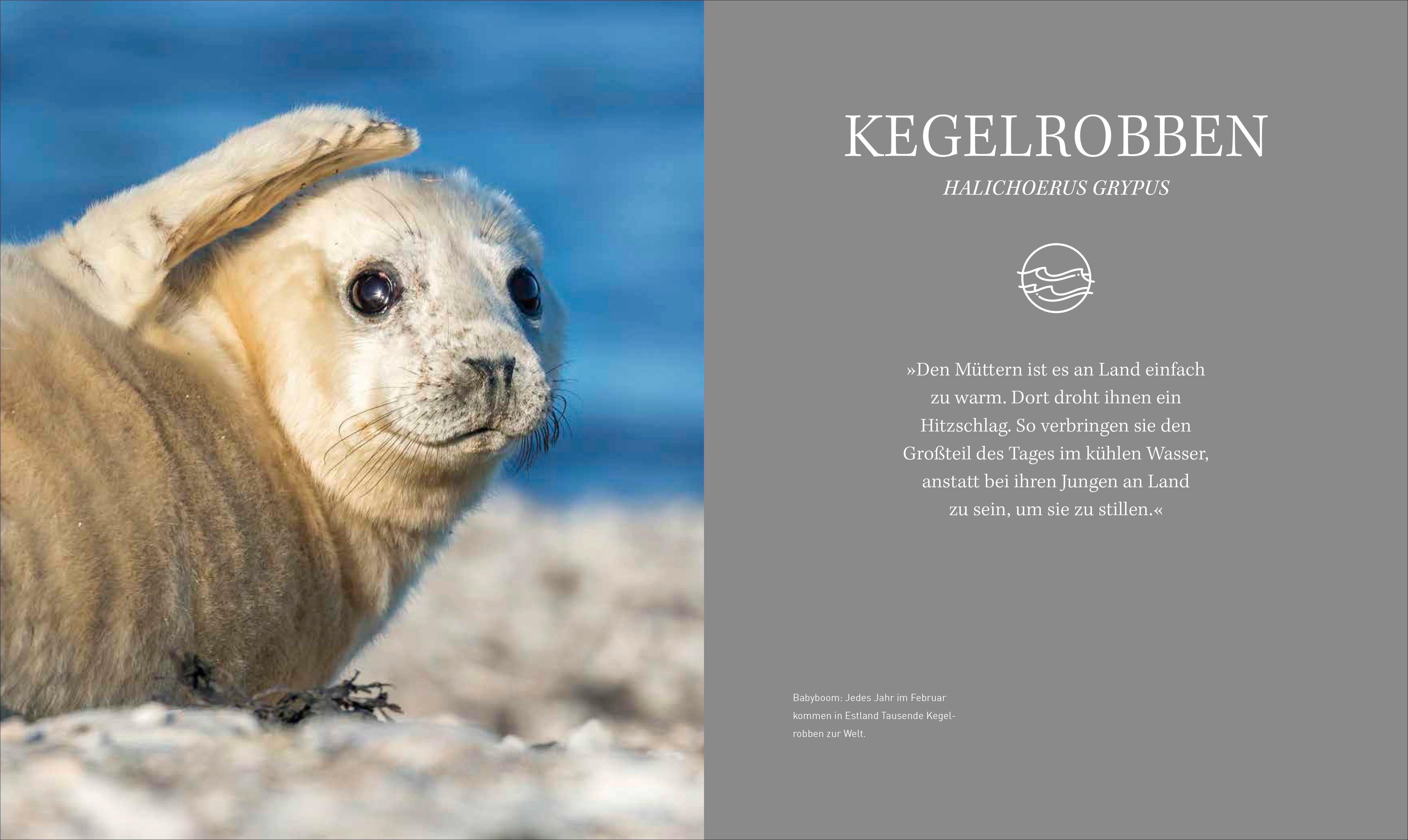 Beispielinhalt (Bild) Bildband - Unsere Meere