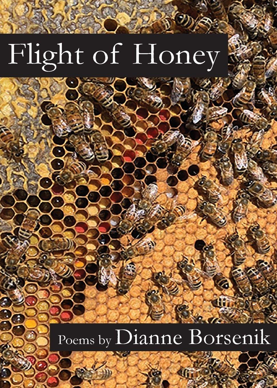 Vorderes Coverbild Flight of Honey