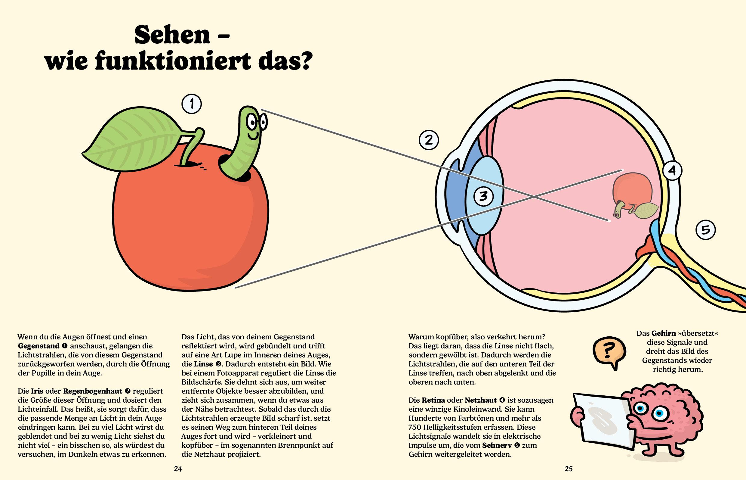 Beispielinhalt (Bild) Brillante Brillen
