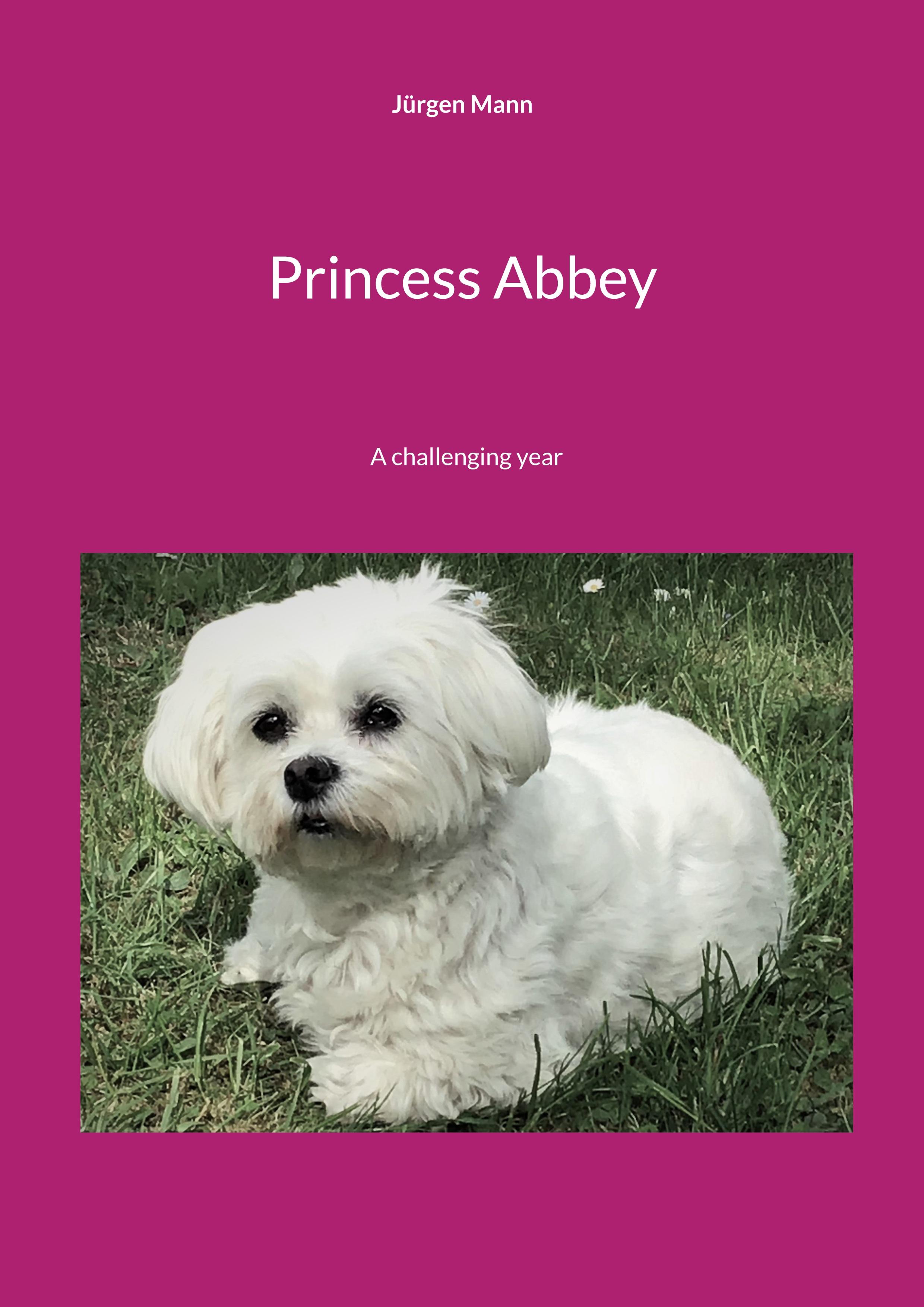 Vorderes Coverbild Princess Abbey