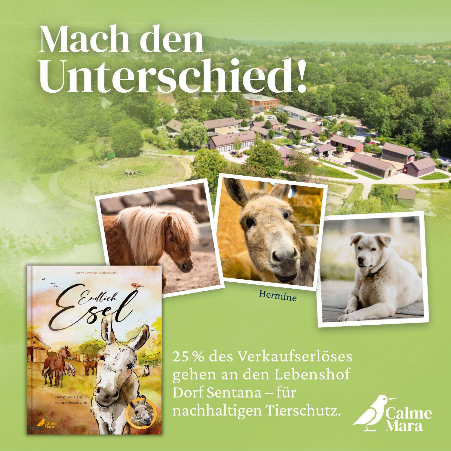 Beispielinhalt (Bild) Endlich Esel