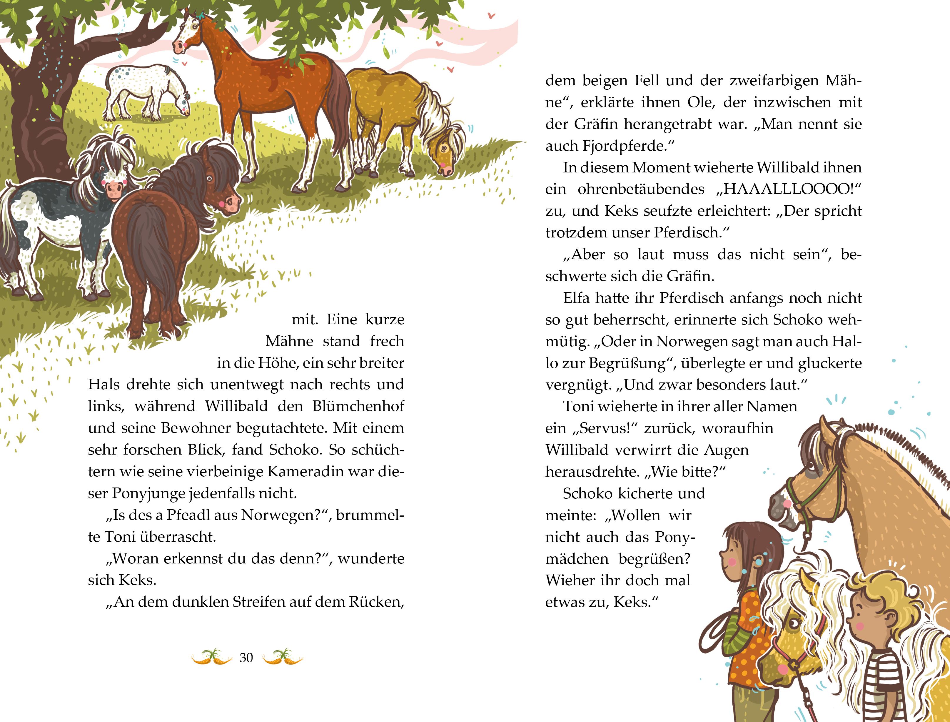 Beispielinhalt (Bild) Die Haferhorde - Ponymut macht alles gut