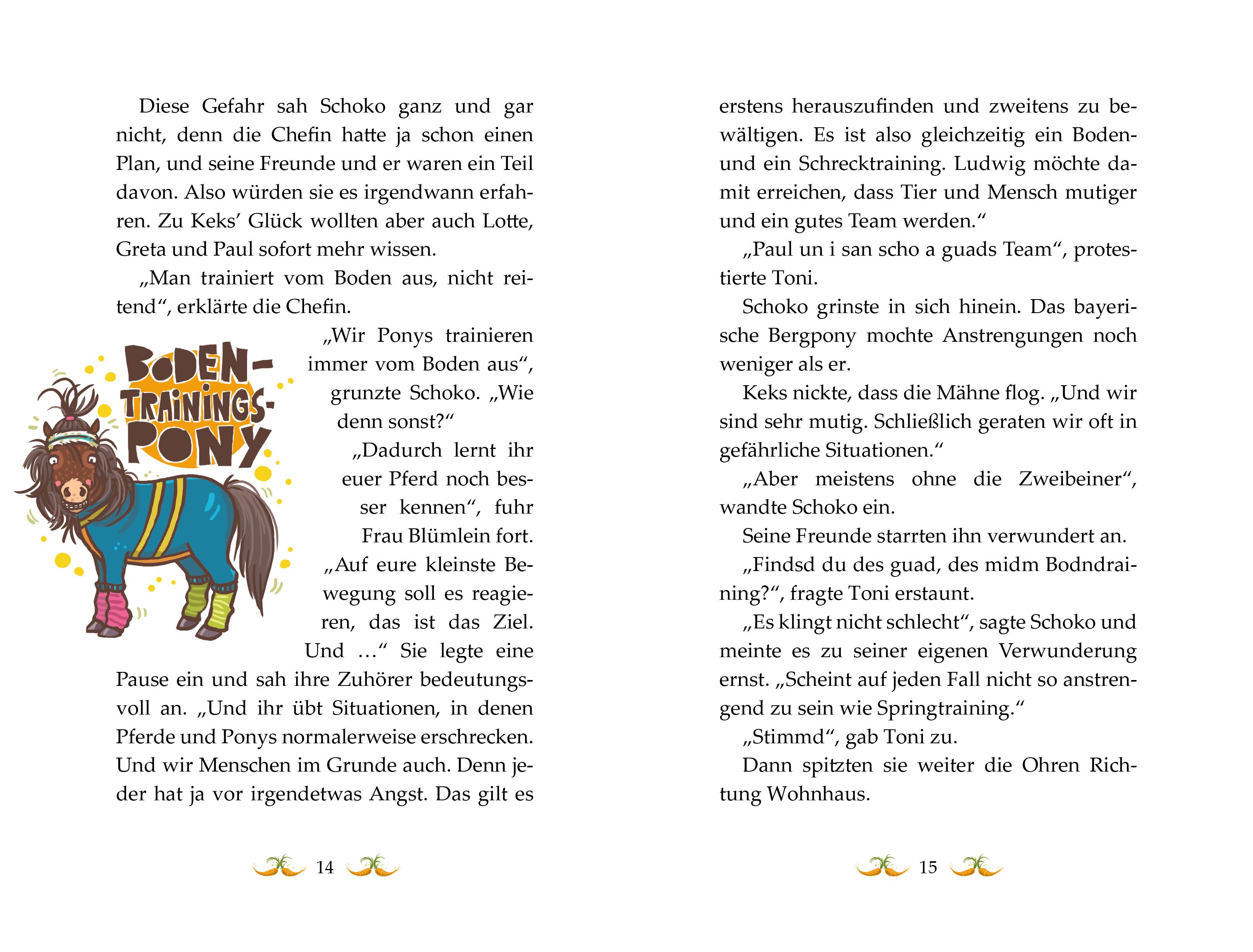 Beispielinhalt (Bild) Die Haferhorde - Ponymut macht alles gut