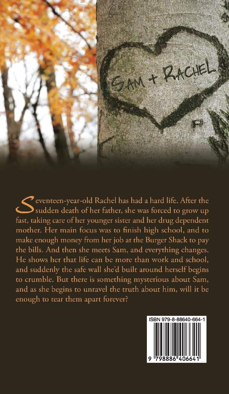 Rückseitencover The Promise