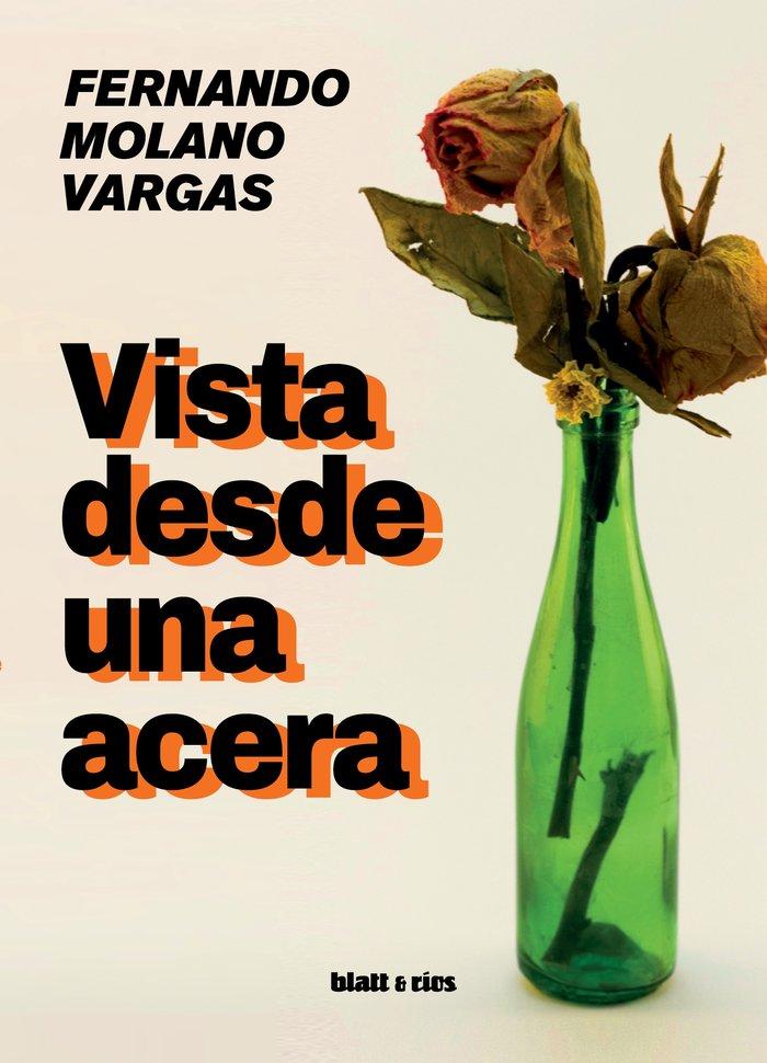 Vorderes Coverbild Vista desde una acera
