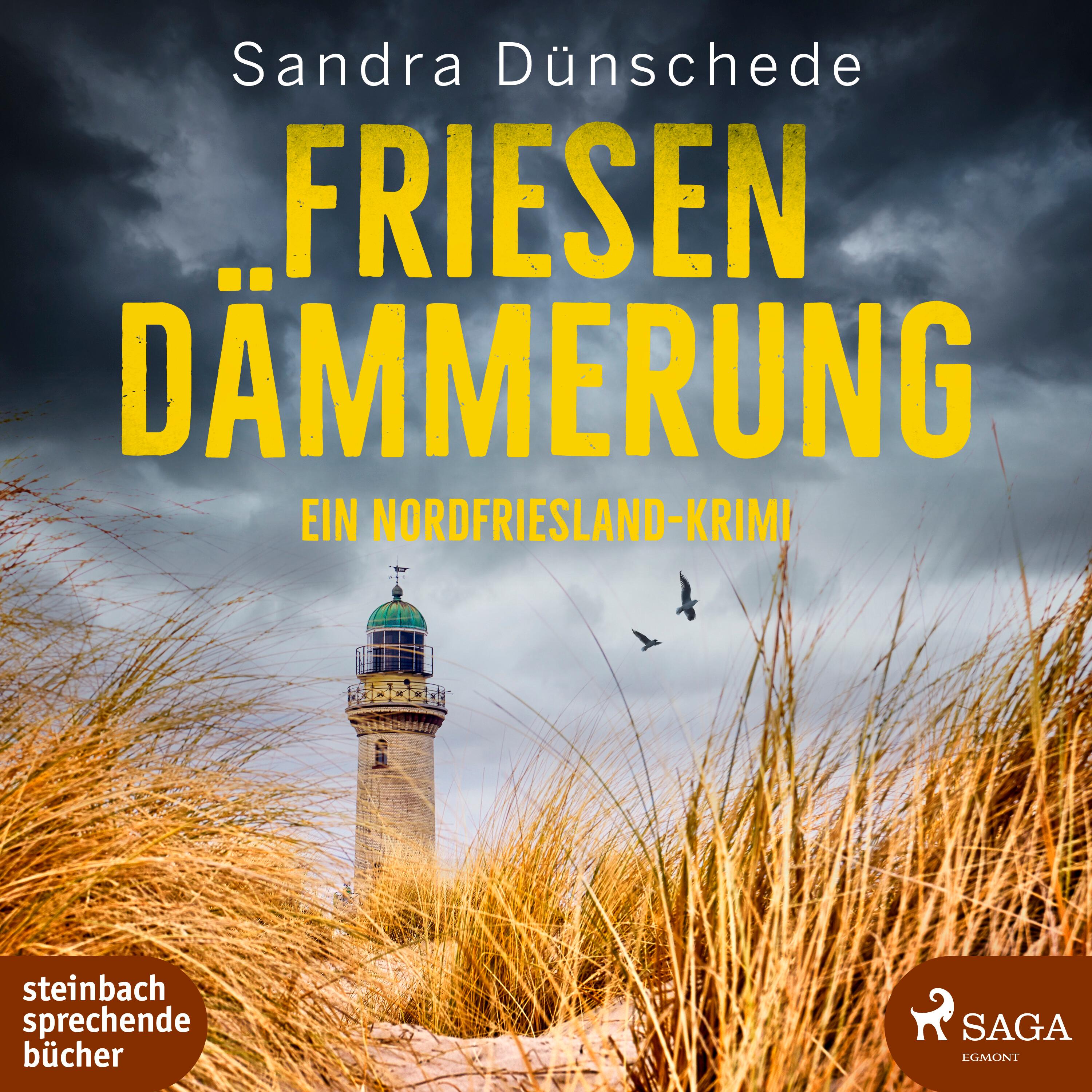 Vorderes Coverbild Friesendämmerung