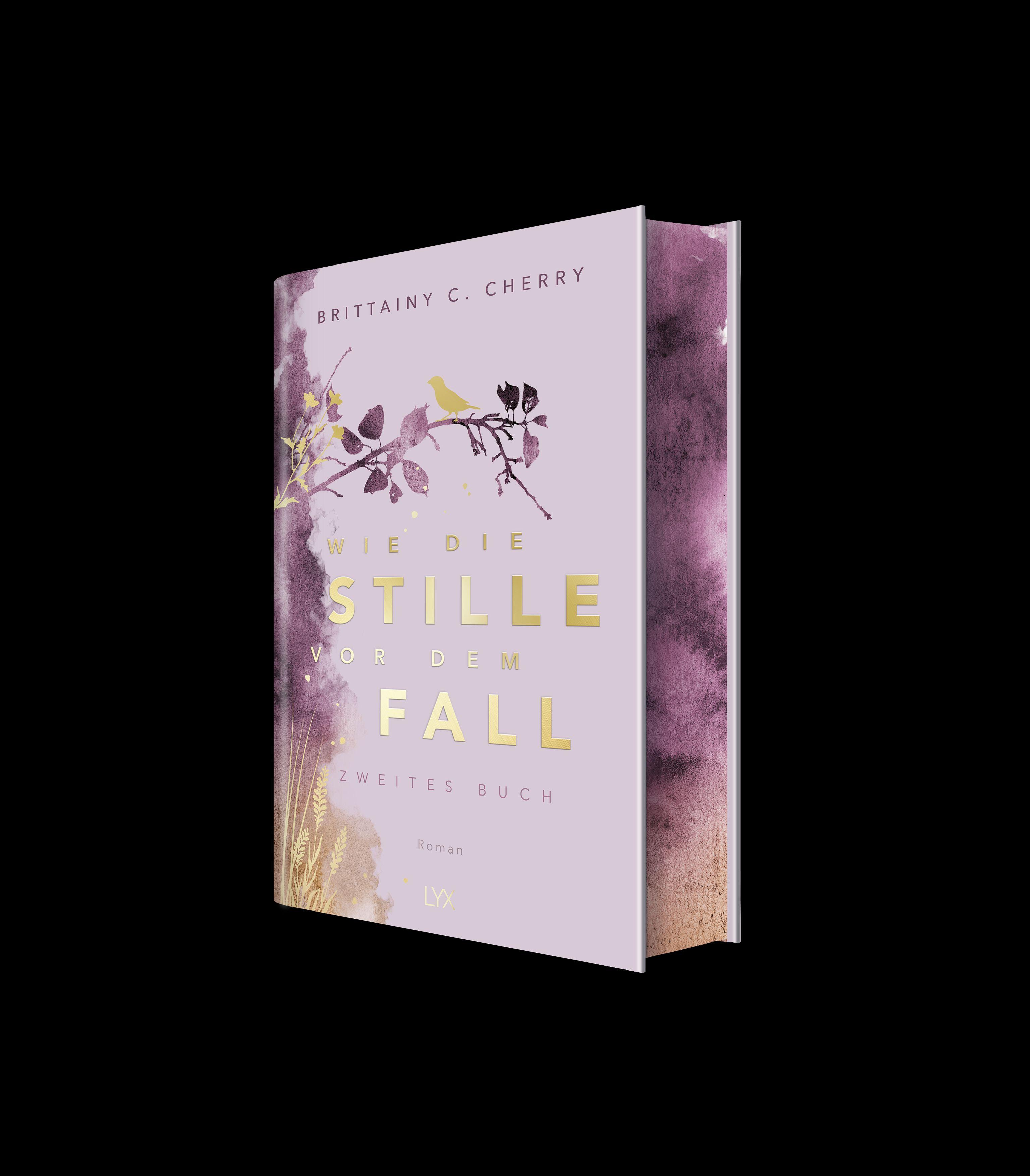 Beispielinhalt (Bild) Wie die Stille vor dem Fall. Zweites Buch: Special Edition