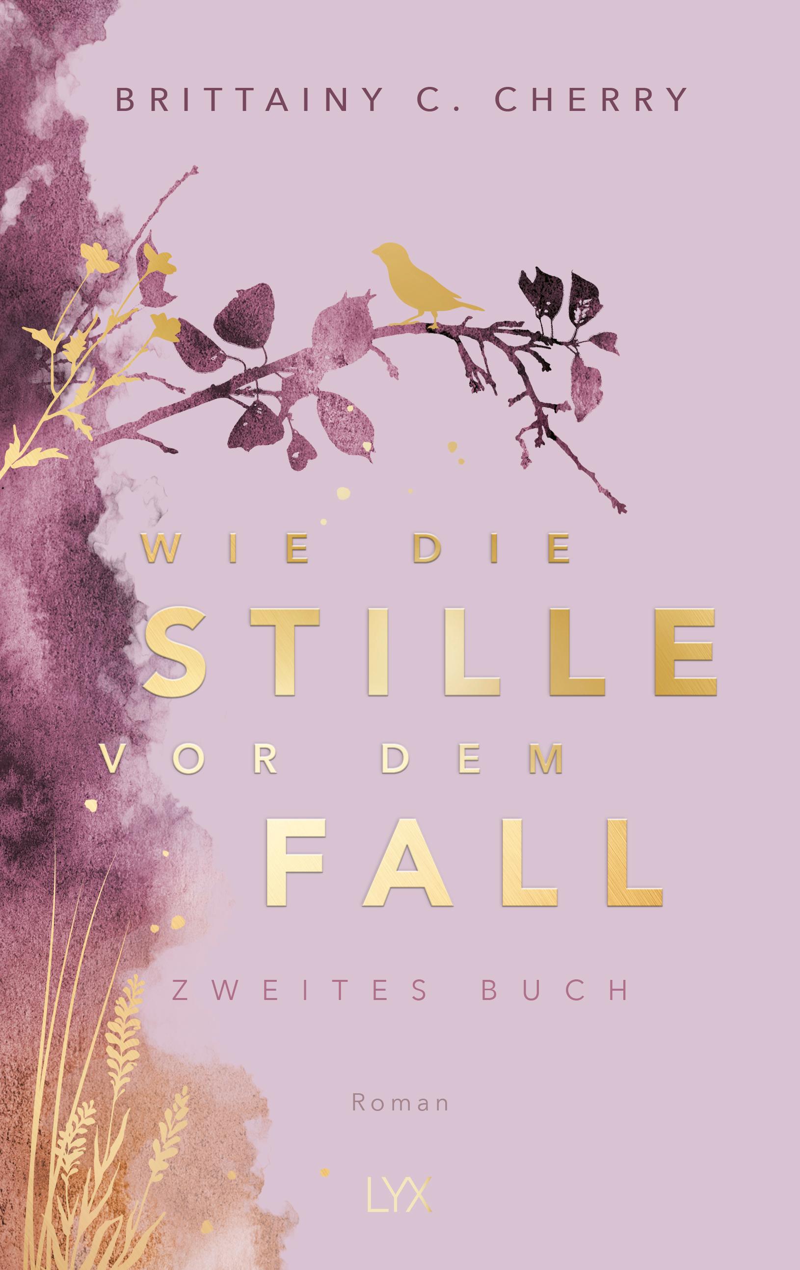 Vorderes Coverbild Wie die Stille vor dem Fall. Zweites Buch: Special Edition