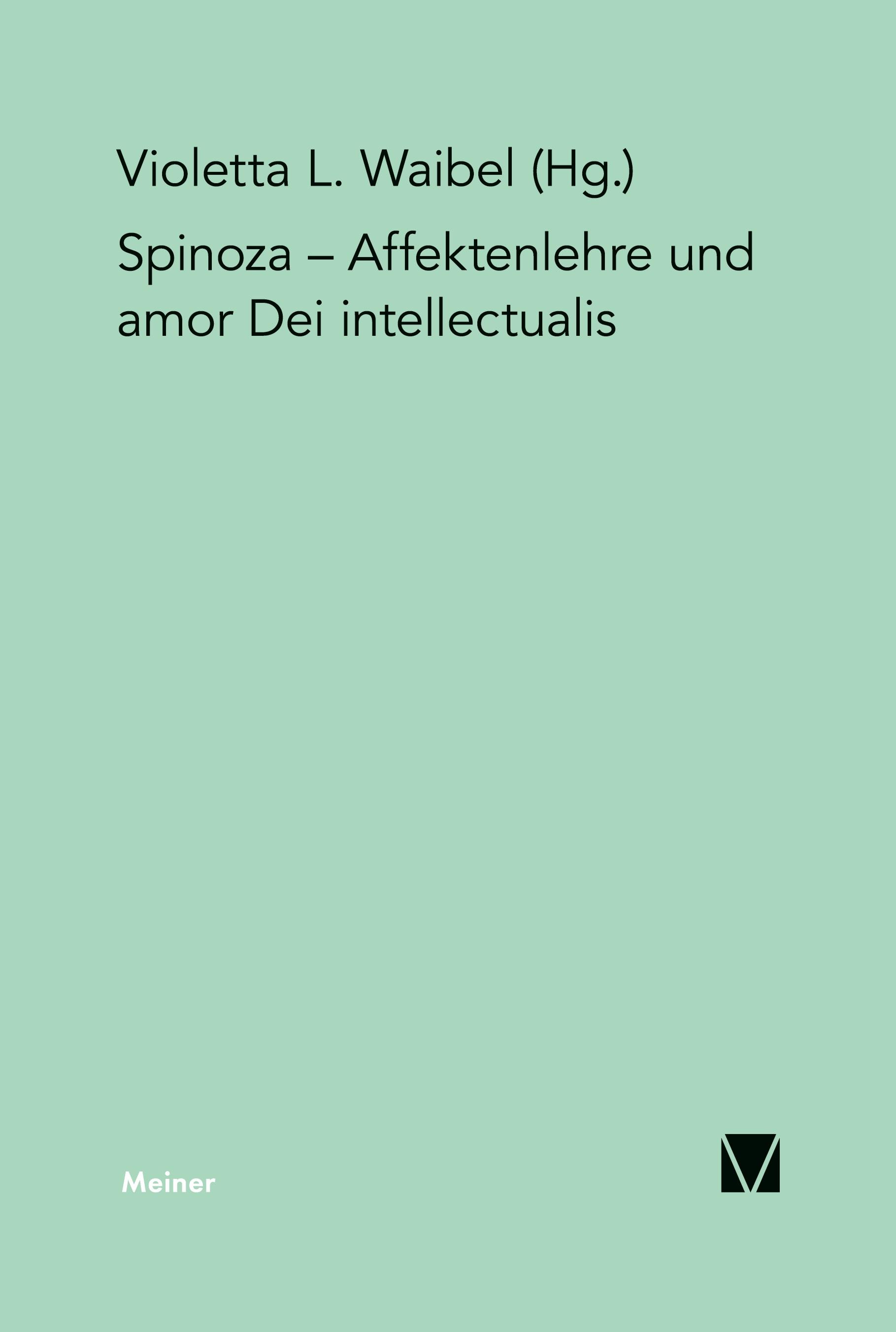 Vorderes Coverbild Affektenlehre und amor Dei intellectualis