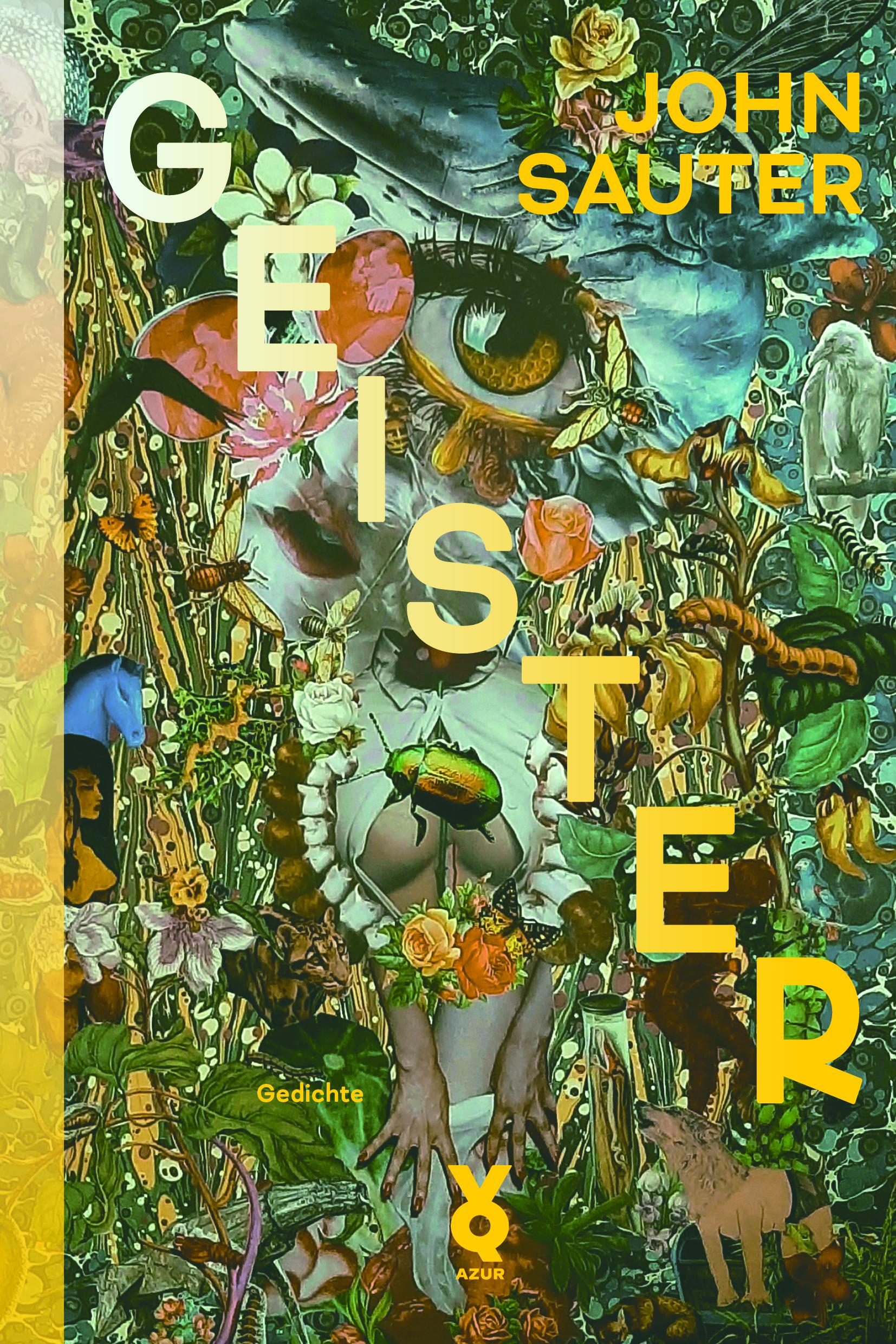 Vorderes Coverbild Geister