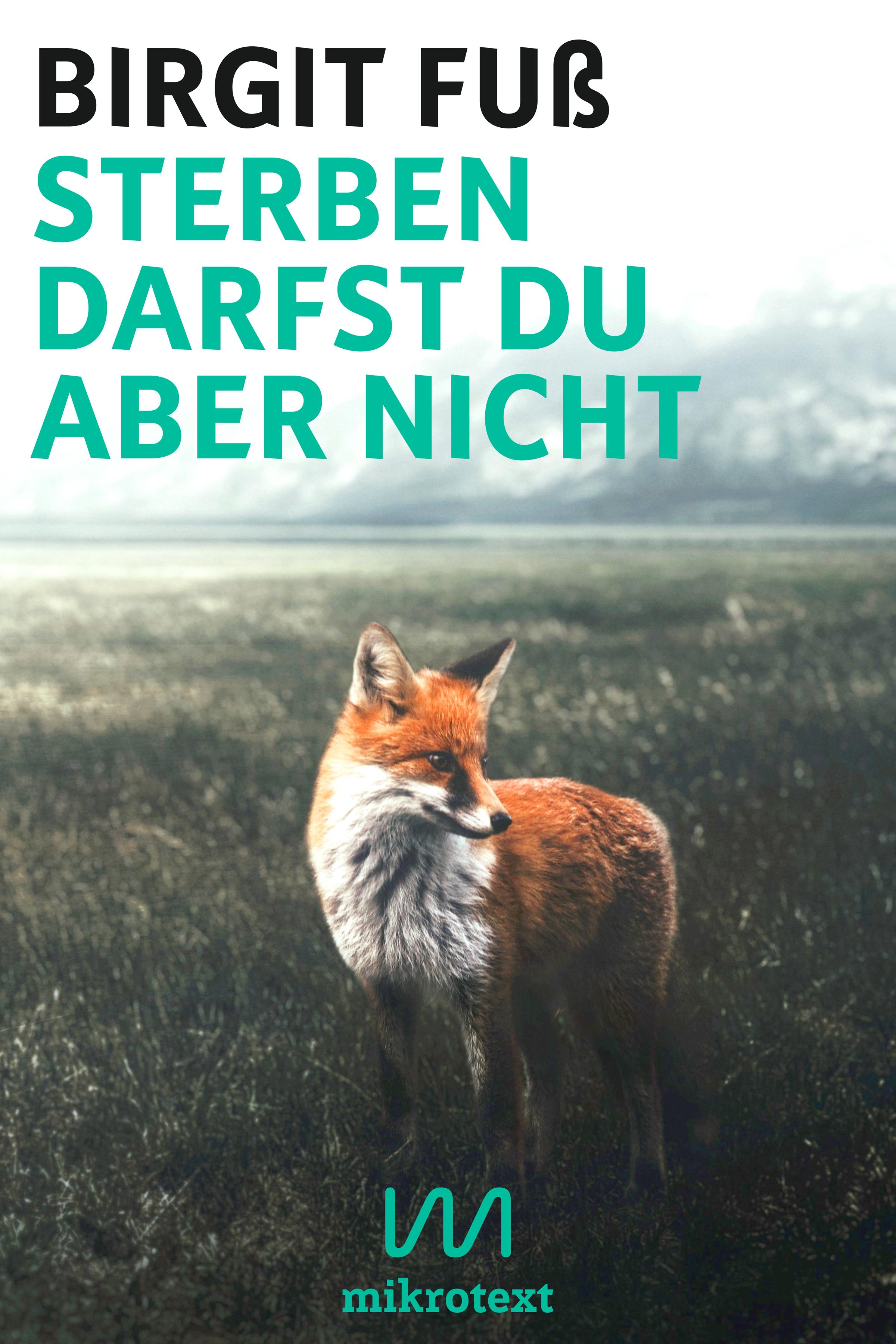 Vorderes Coverbild Sterben darfst du aber nicht