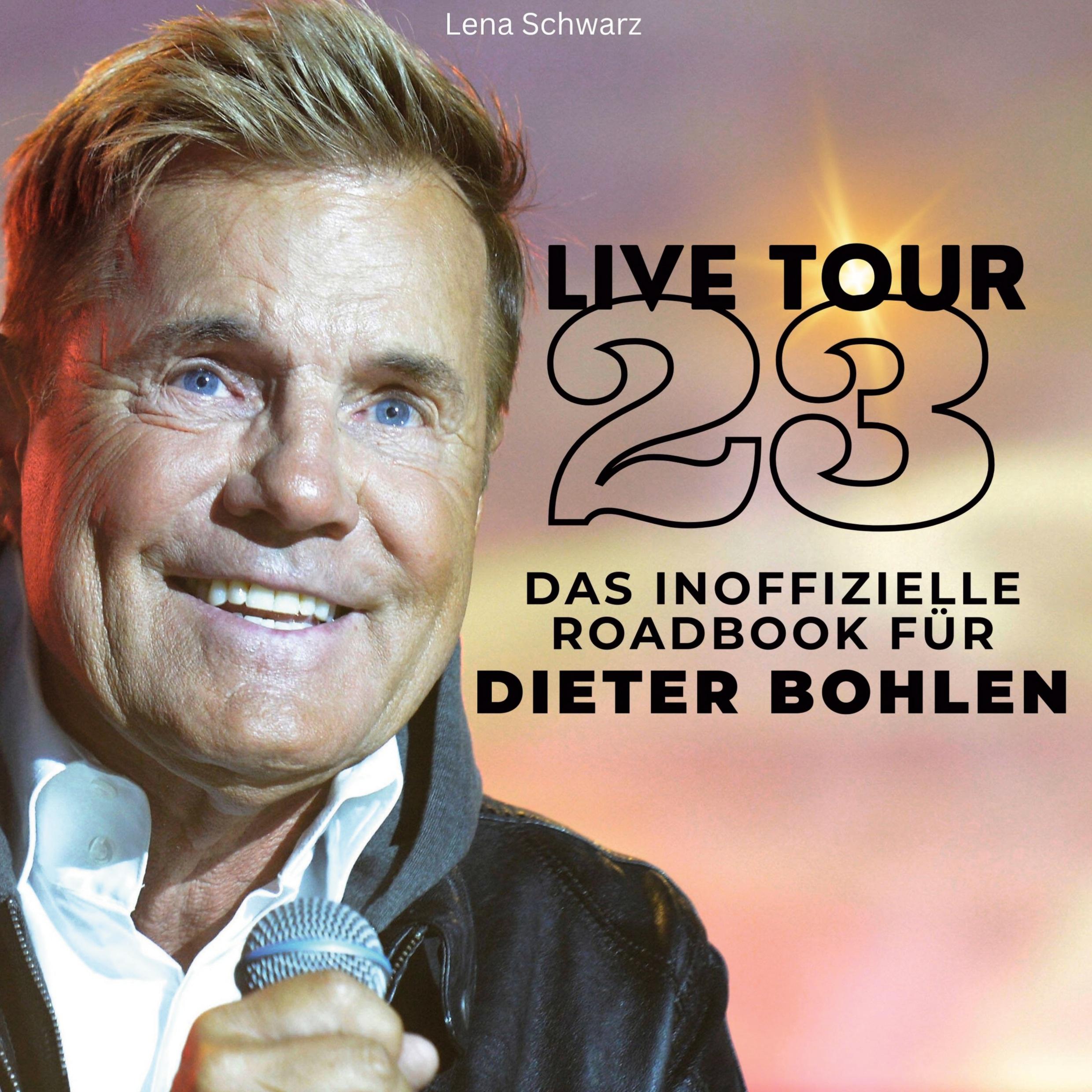 Vorderes Coverbild Das inoffizielle Roadbook für <br> Dieter Bohlen
