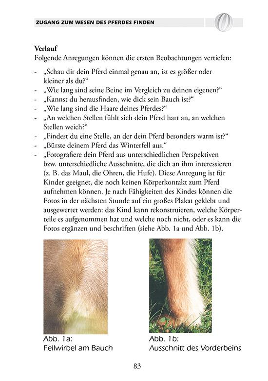 Beispielinhalt (Bild) PferdeTräume