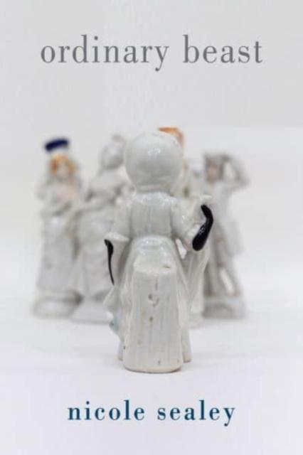 Vorderes Coverbild Ordinary Beast