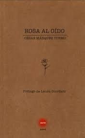 Vorderes Coverbild Rosa al oído