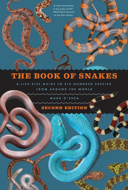 Vorderes Coverbild The Book of Snakes