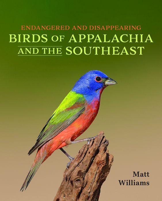 Vorderes Coverbild Endangered and Disappearing Birds of Appalachia and the Southeast