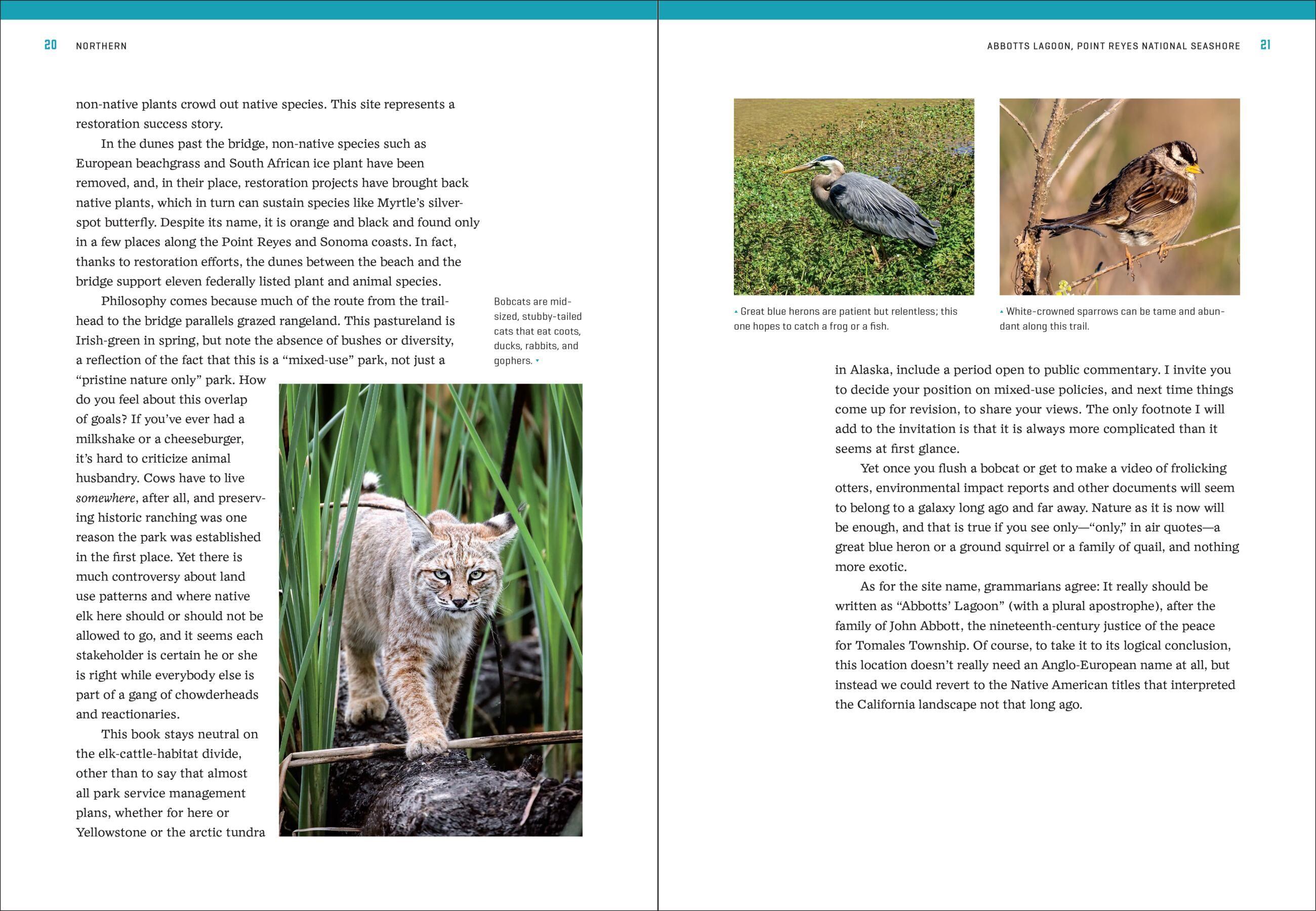 Beispielinhalt (Bild) California's Best Nature Walks