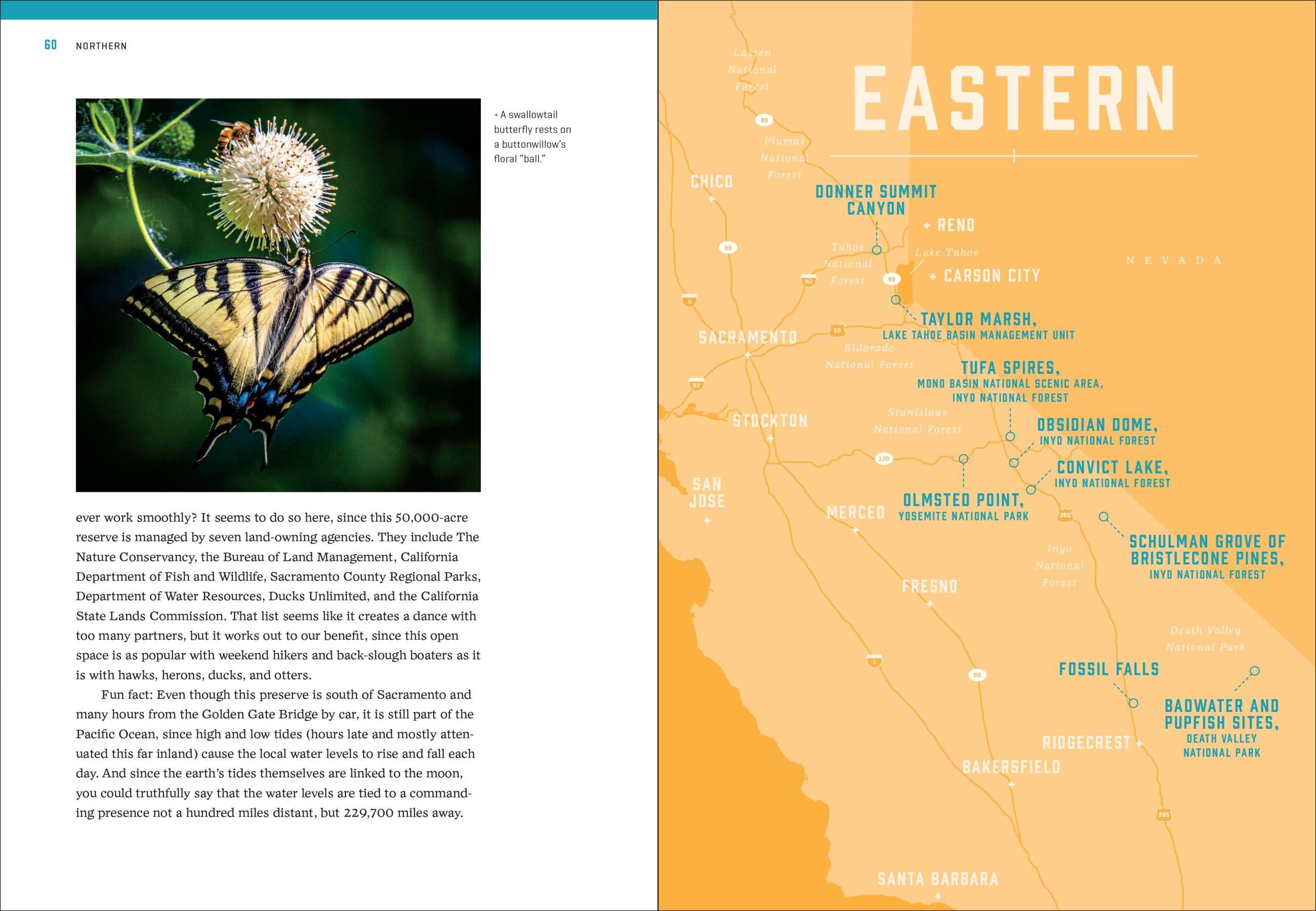 Beispielinhalt (Bild) California's Best Nature Walks