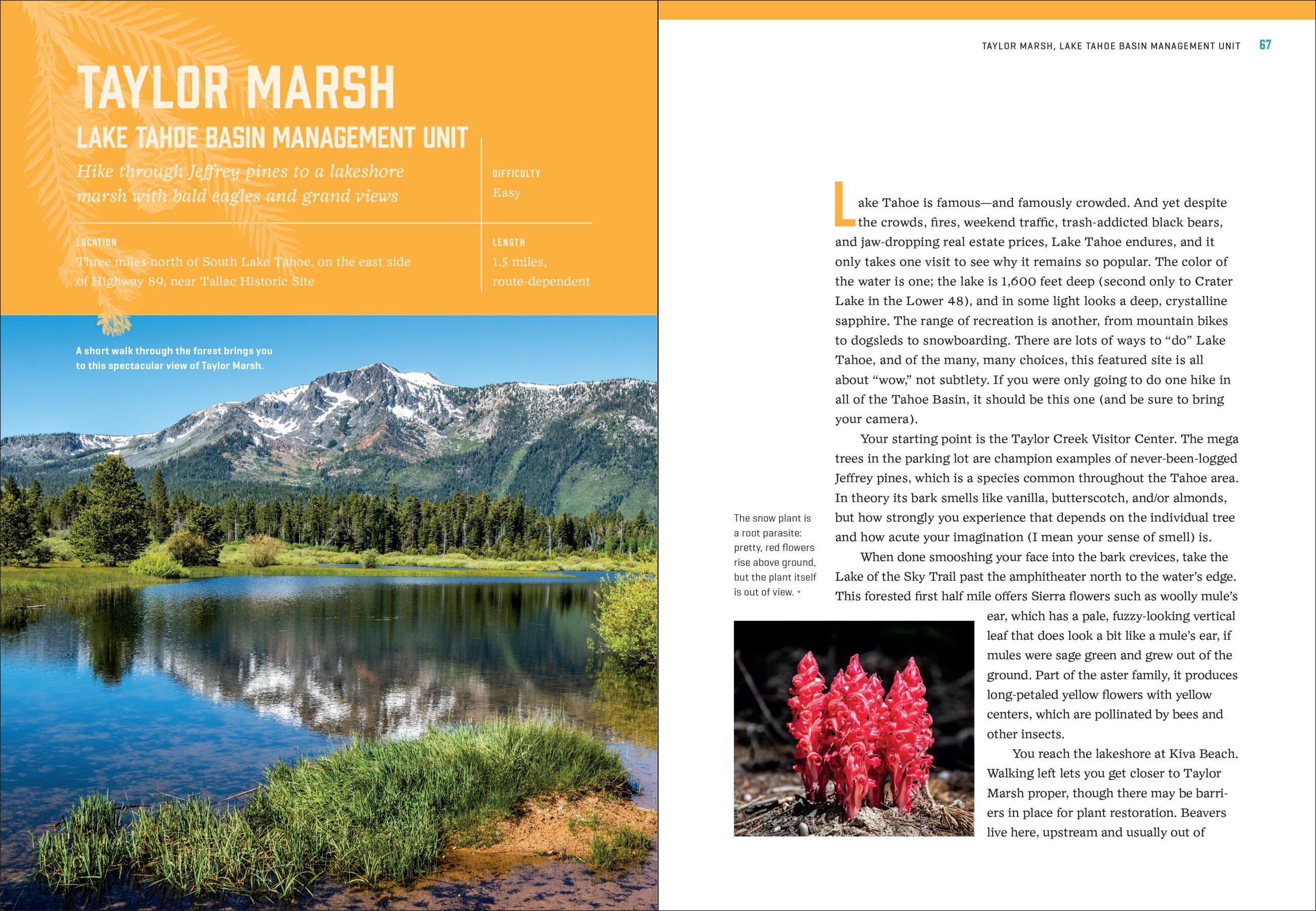 Beispielinhalt (Bild) California's Best Nature Walks