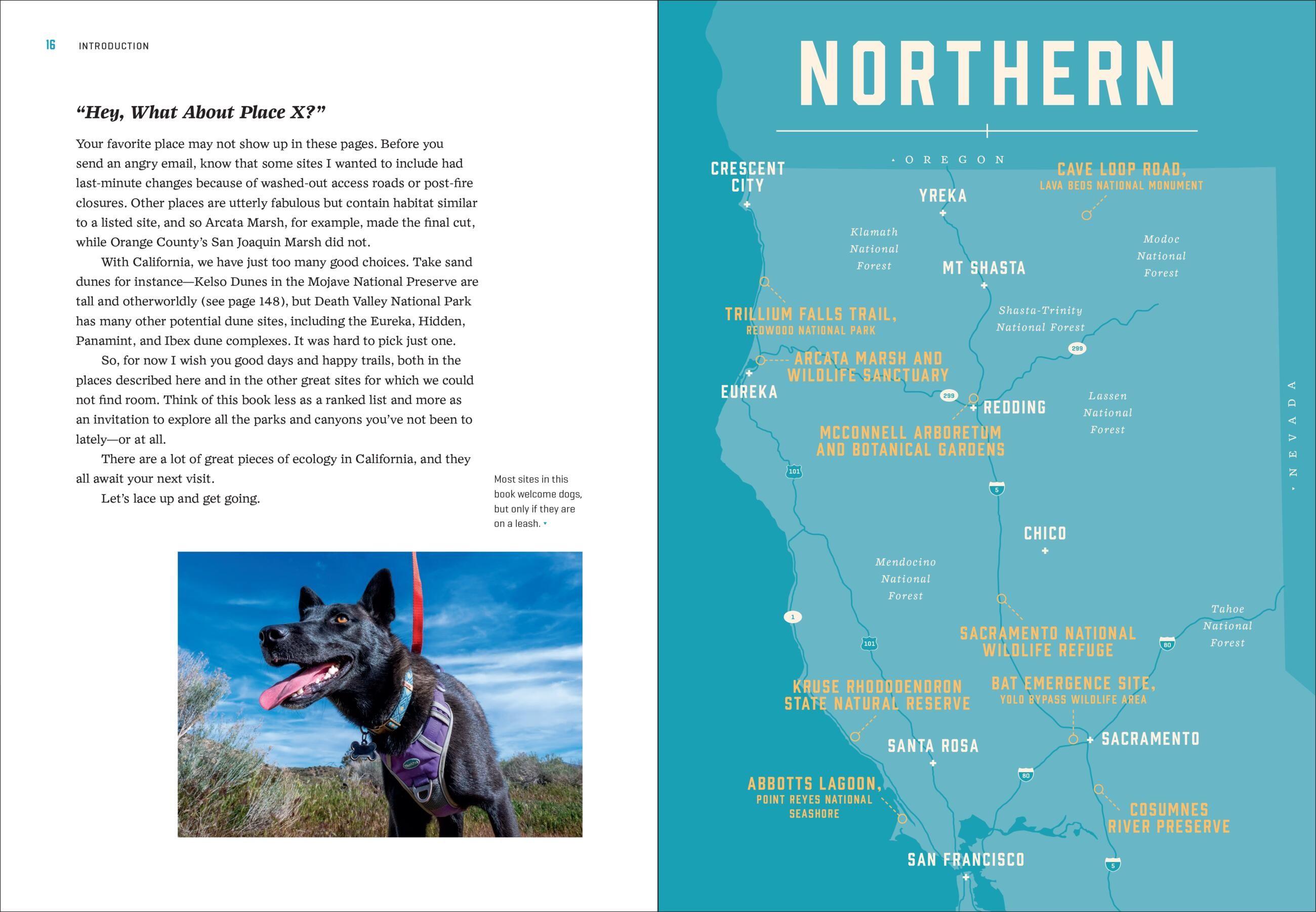 Beispielinhalt (Bild) California's Best Nature Walks