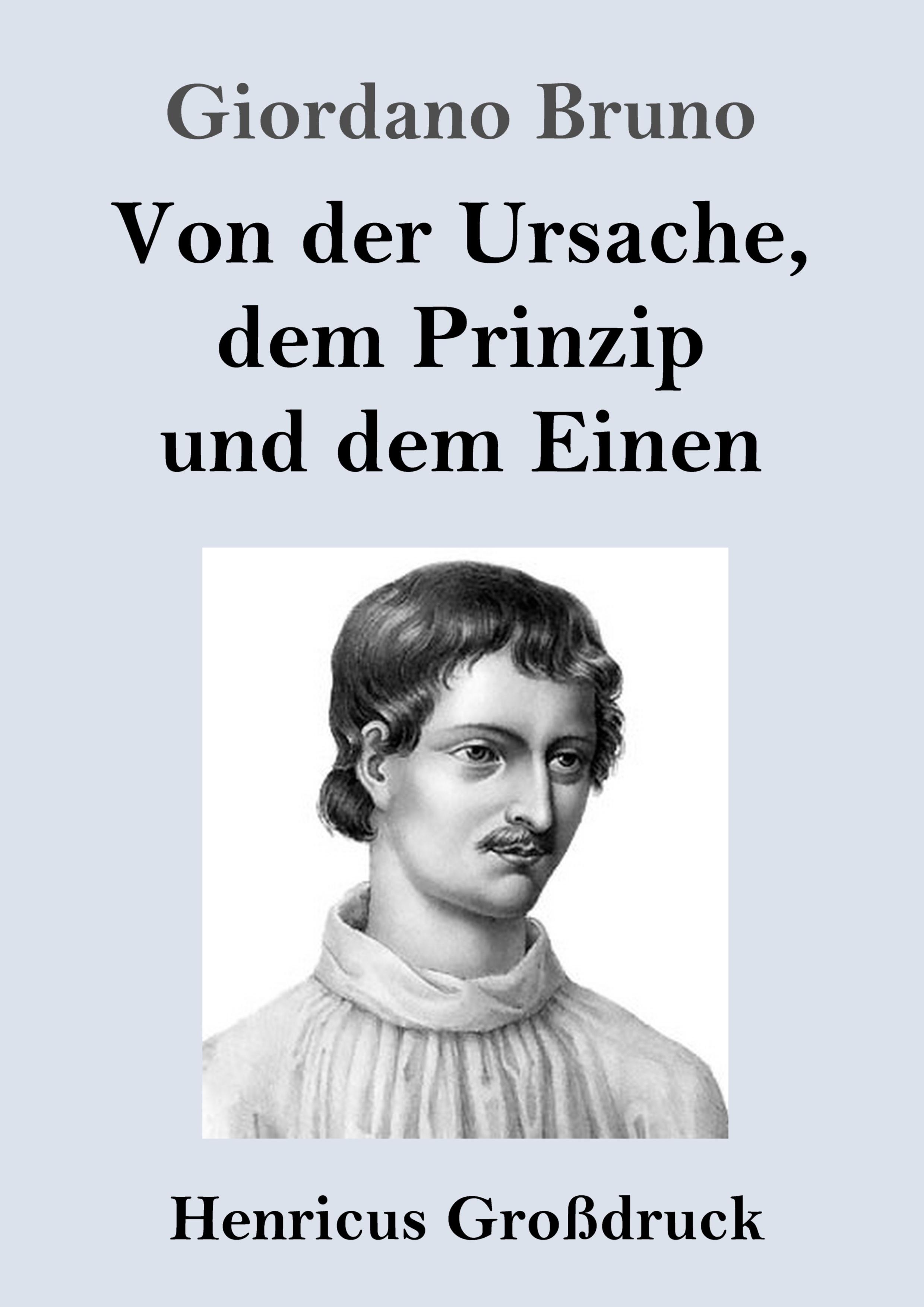 Vorderes Coverbild Von der Ursache, dem Prinzip und dem Einen (Großdruck)