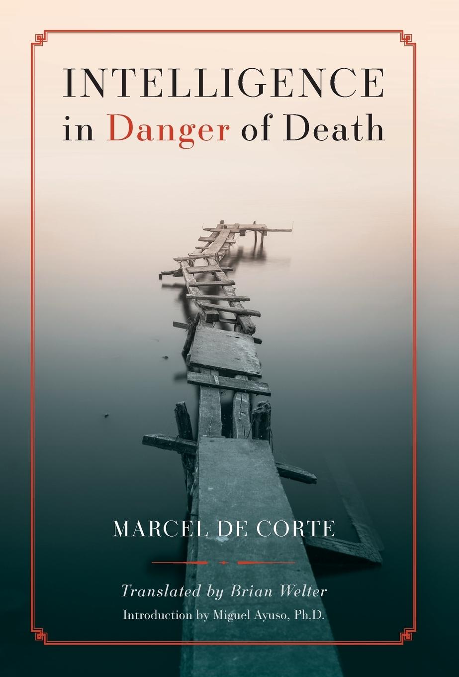 Vorderes Coverbild Intelligence in Danger of Death (English edition)