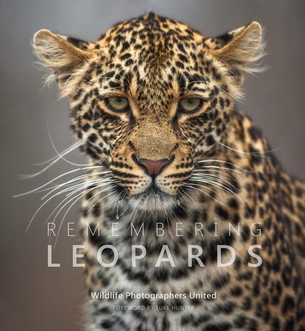 Vorderes Coverbild Remembering Leopards