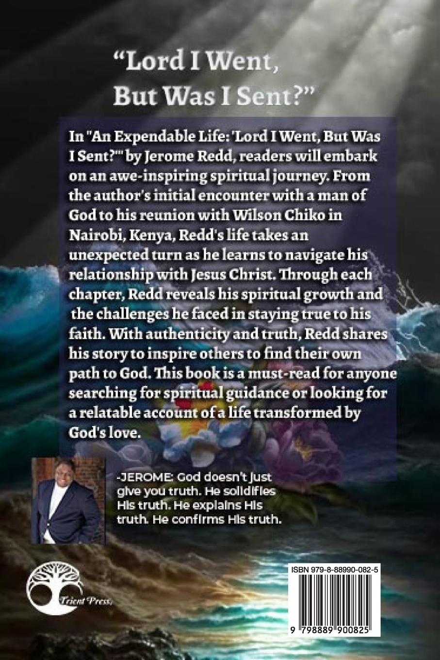 Rückseitencover An Expendable Life