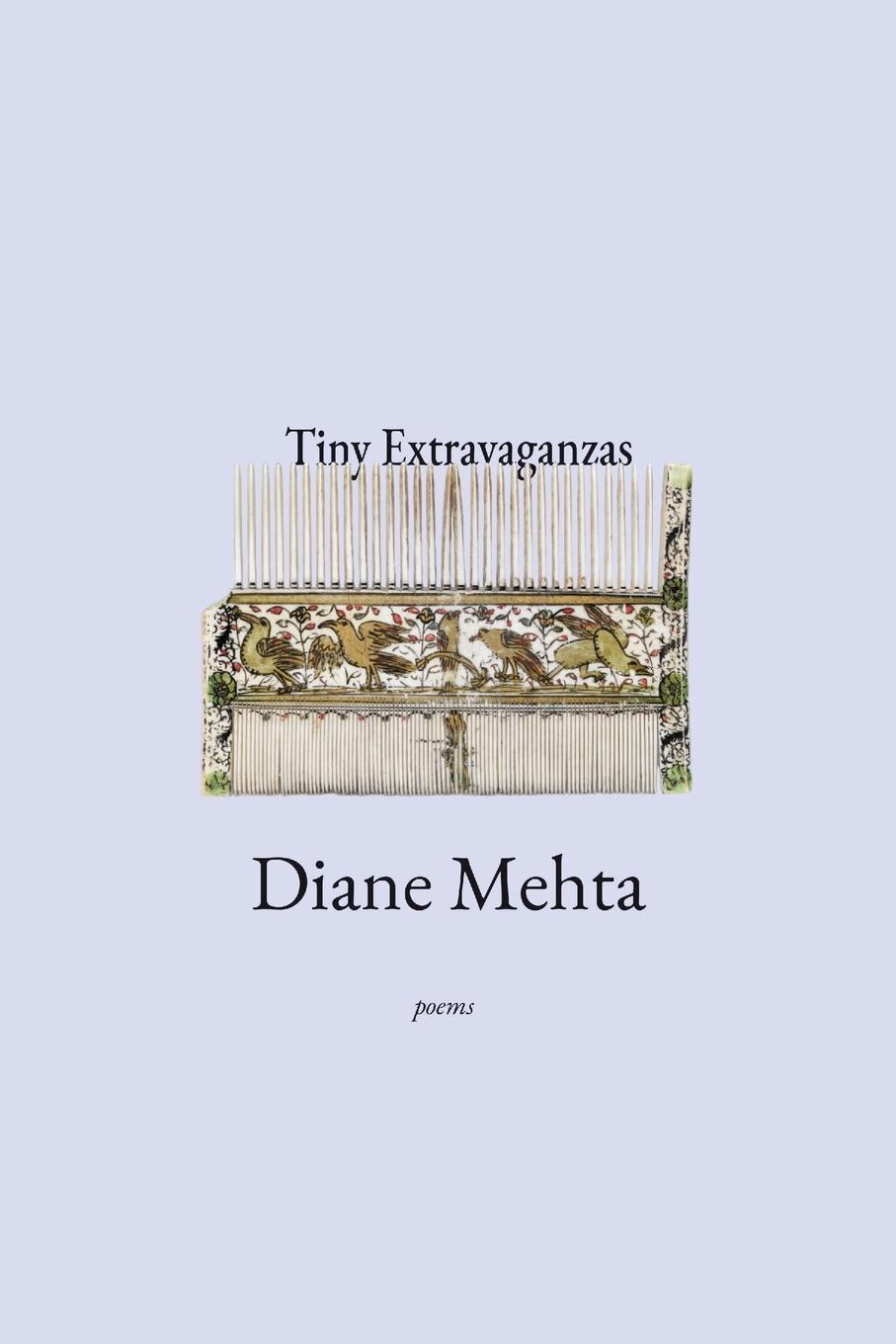 Vorderes Coverbild Tiny Extravaganzas