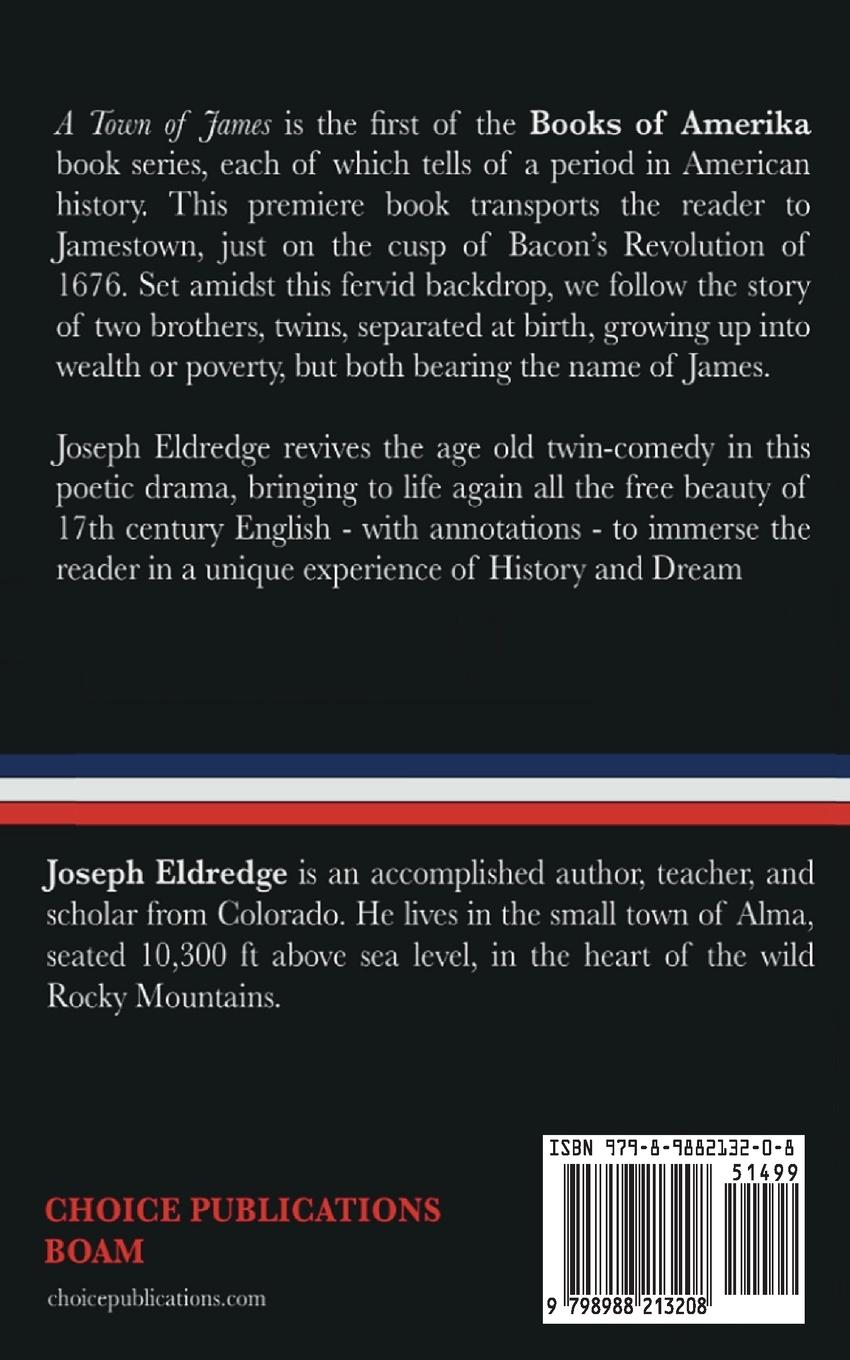 Rückseitencover The Books of Amerika