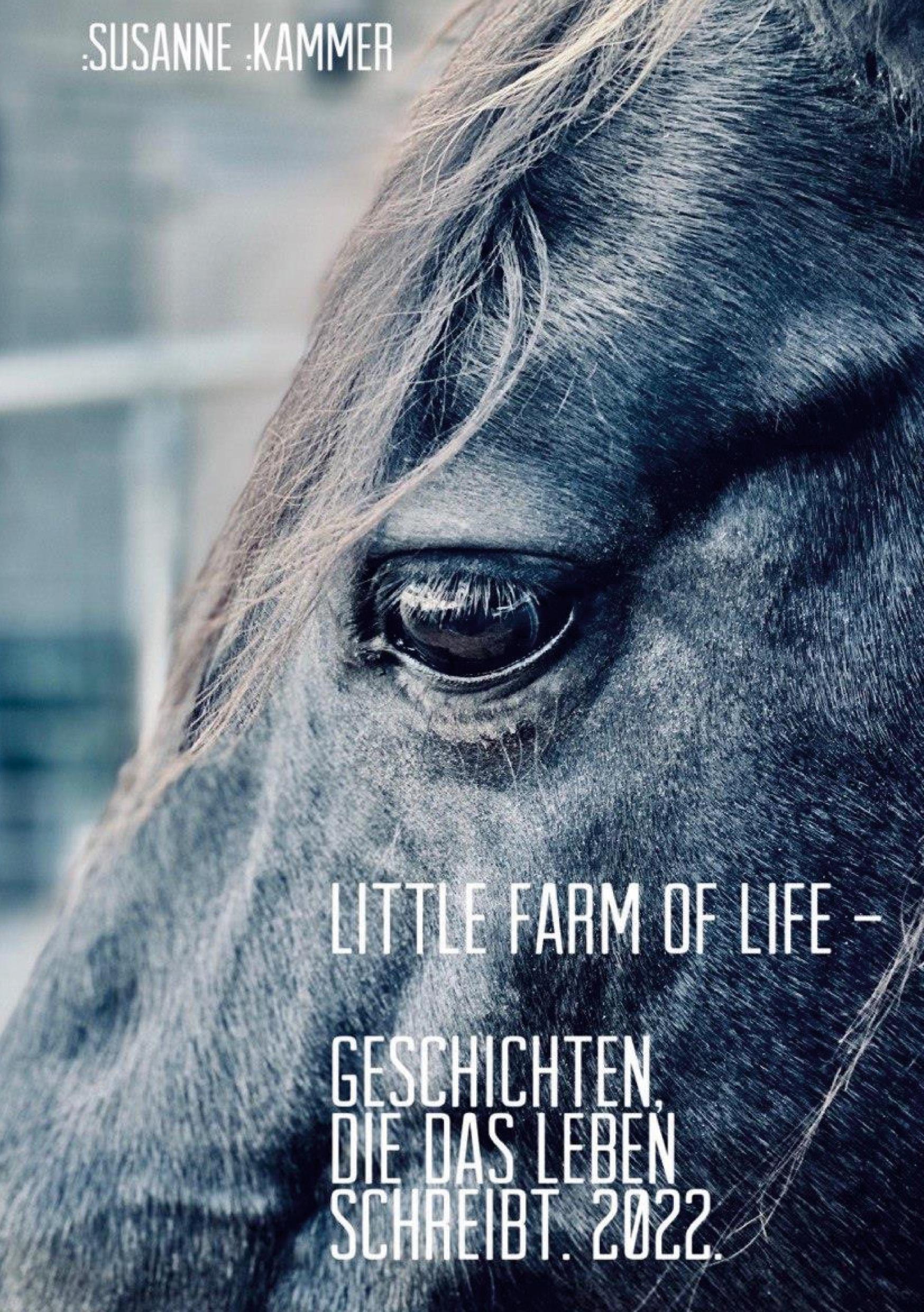 Vorderes Coverbild Little Farm of Life. Geschichten, die das Leben schreibt. 2022.