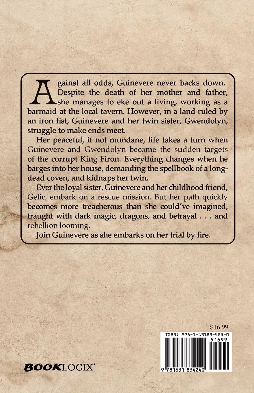 Rückseitencover Into the Fire