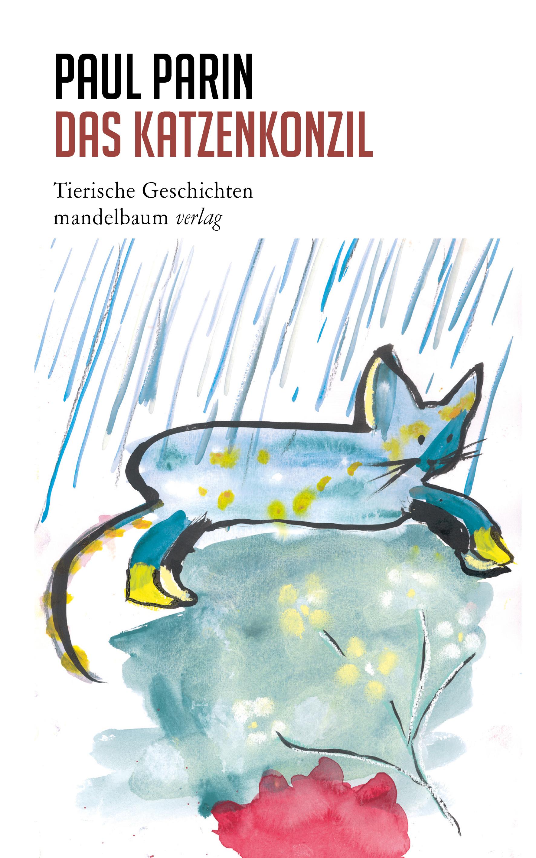 Vorderes Coverbild Das Katzenkonzil
