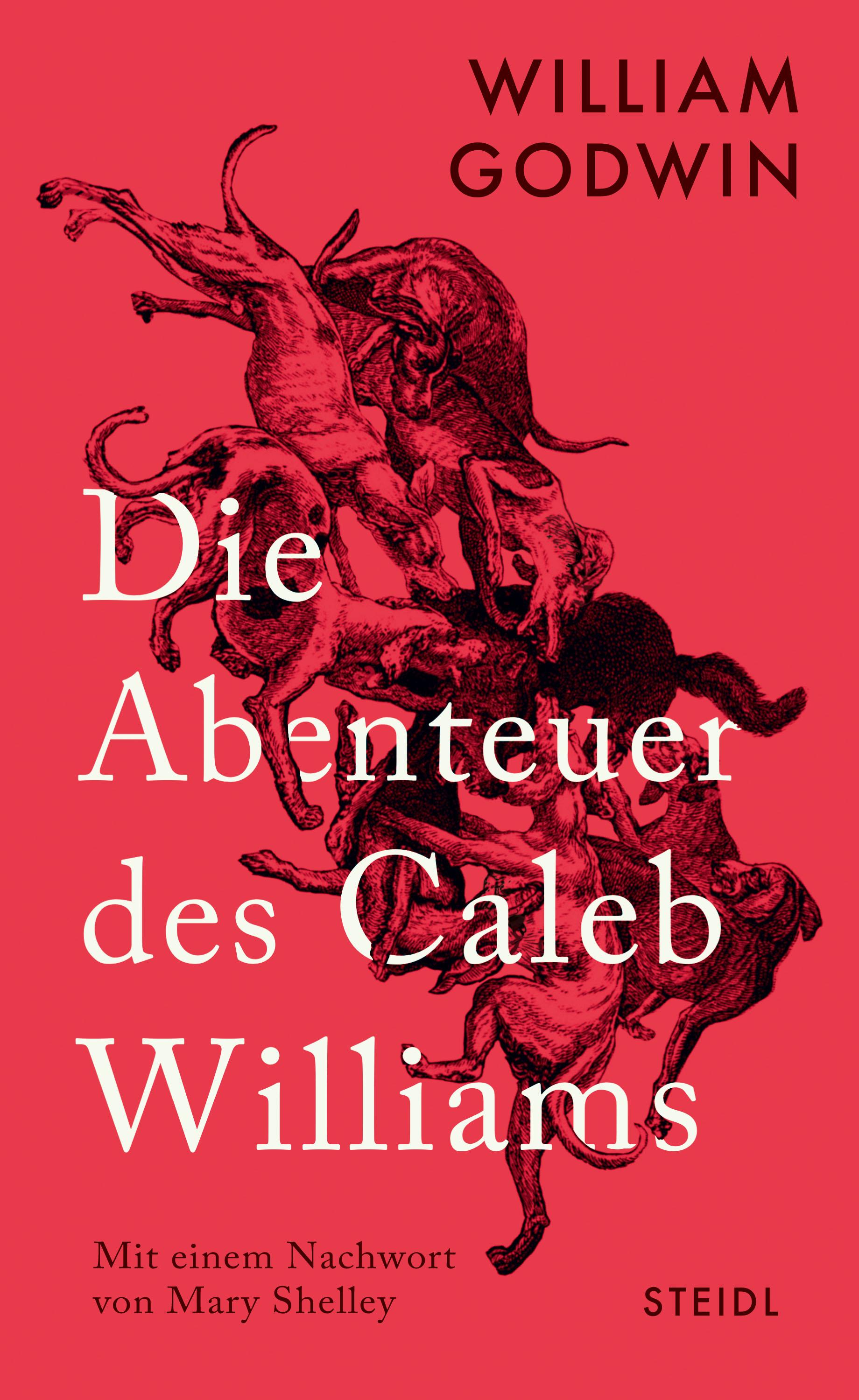 Vorderes Coverbild Die Abenteuer des Caleb Williams
