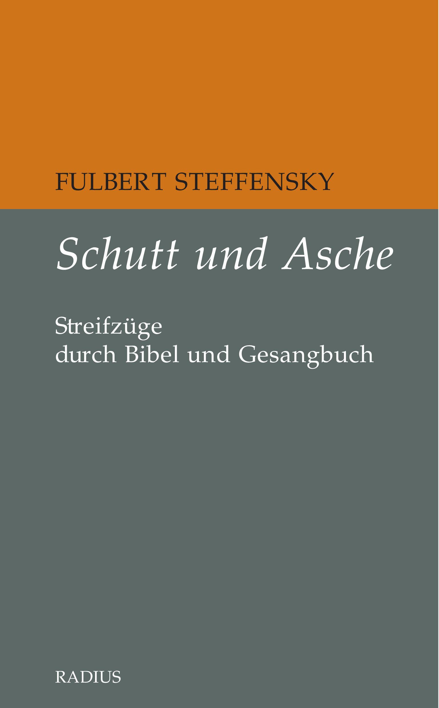 Vorderes Coverbild Schutt und Asche