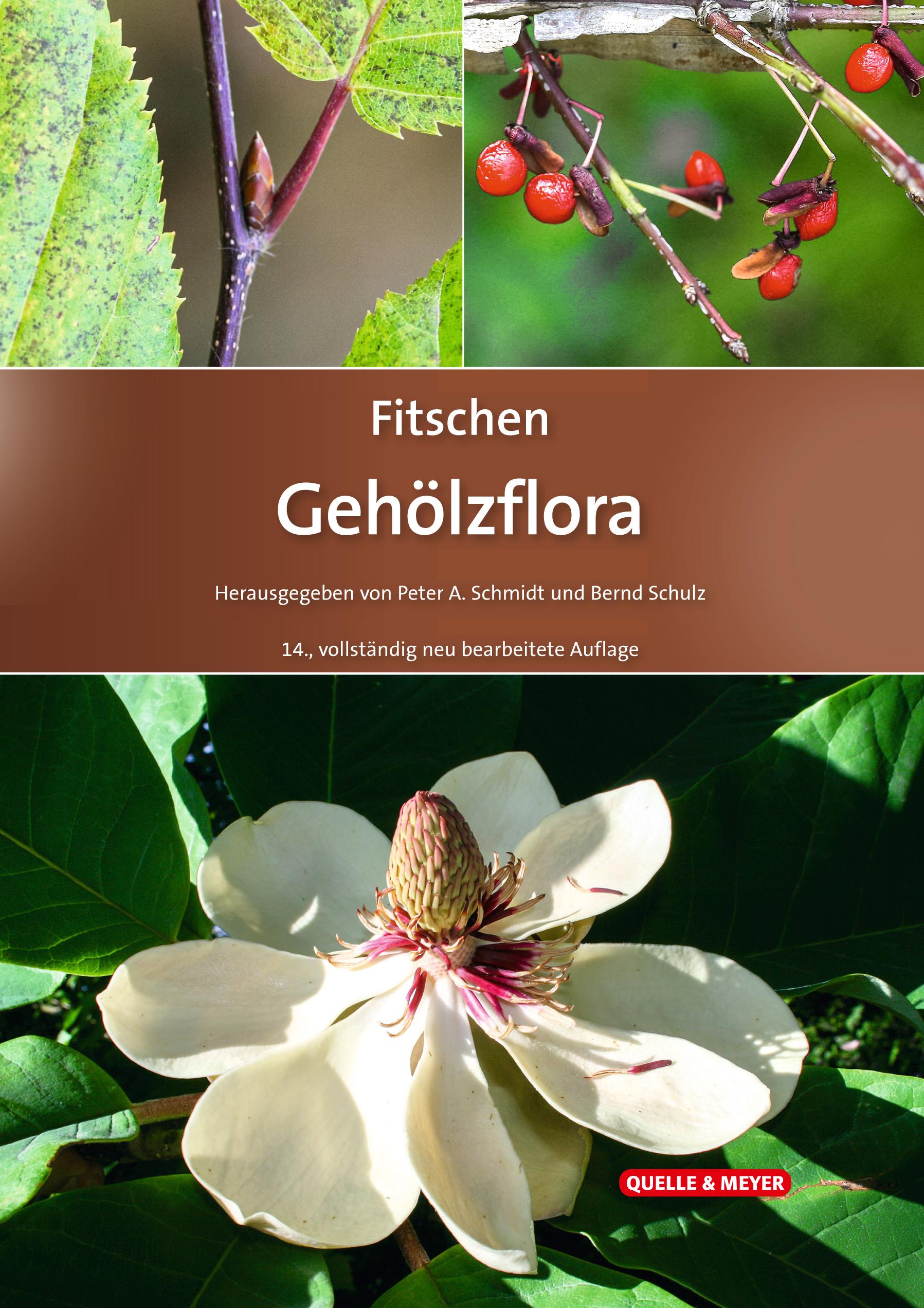 Vorderes Coverbild Fitschen - Gehölzflora