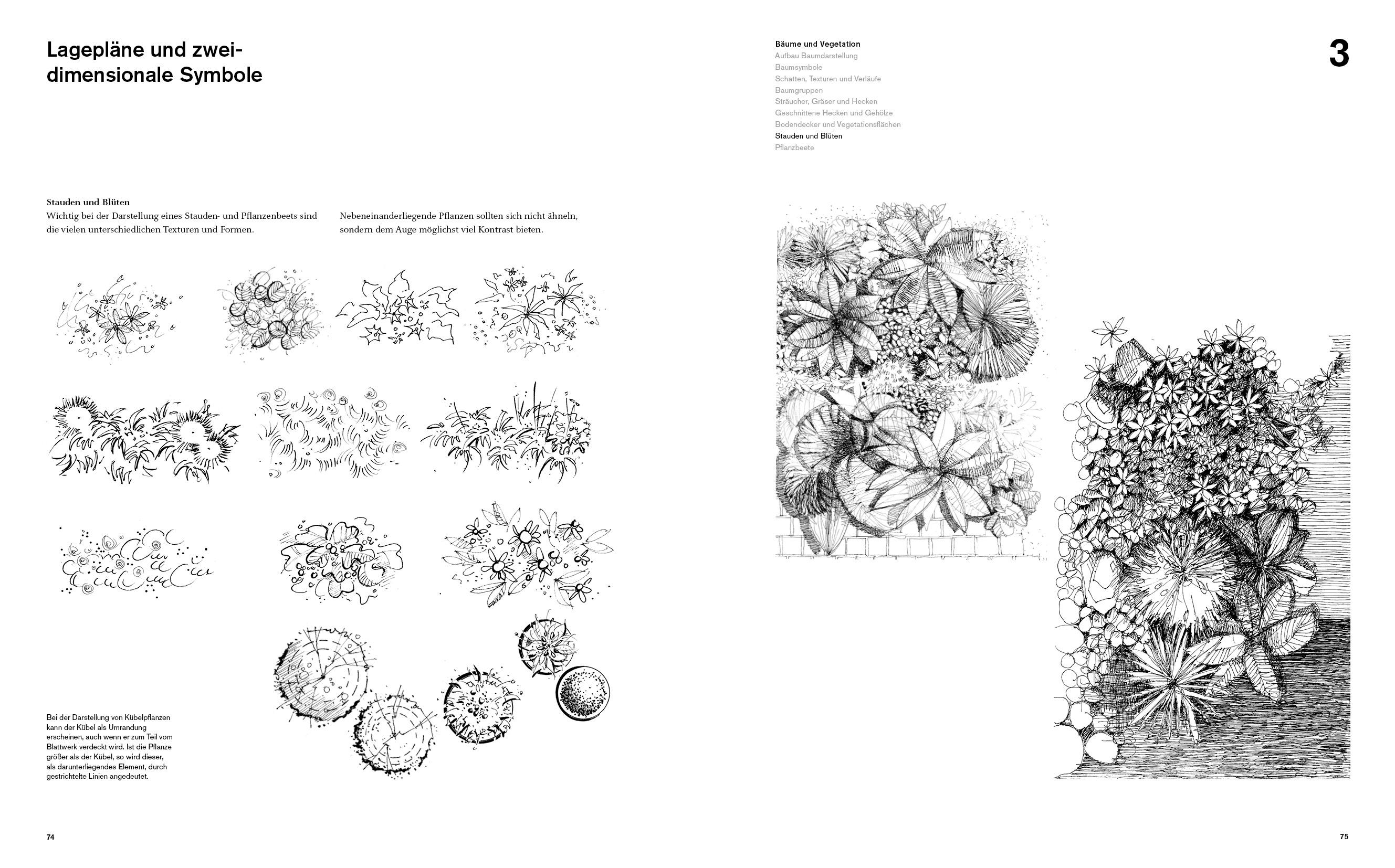 Beispielinhalt (Bild) Zeichenlehre für Landschaftsarchitekten