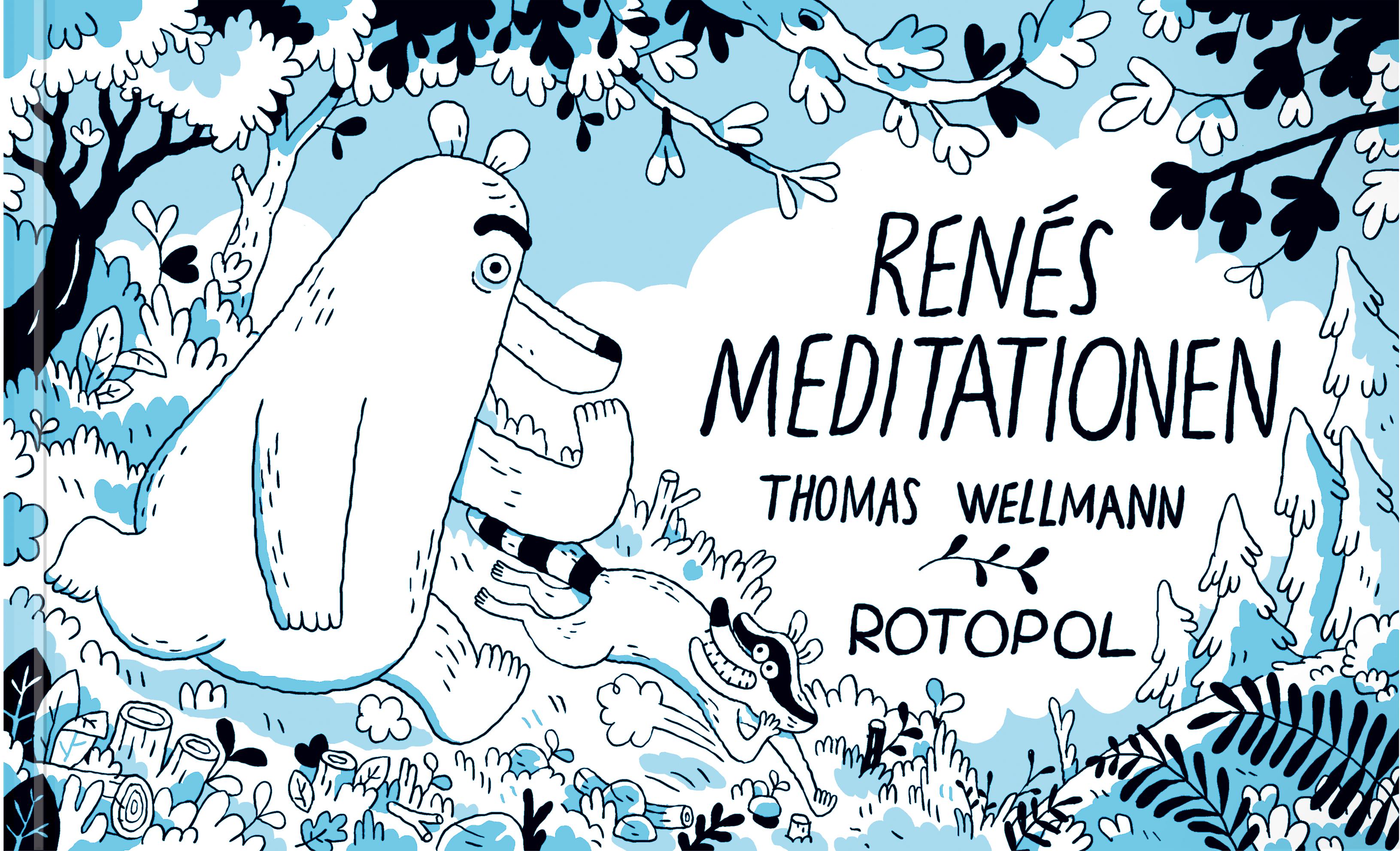 Vorderes Coverbild Renés Meditationen