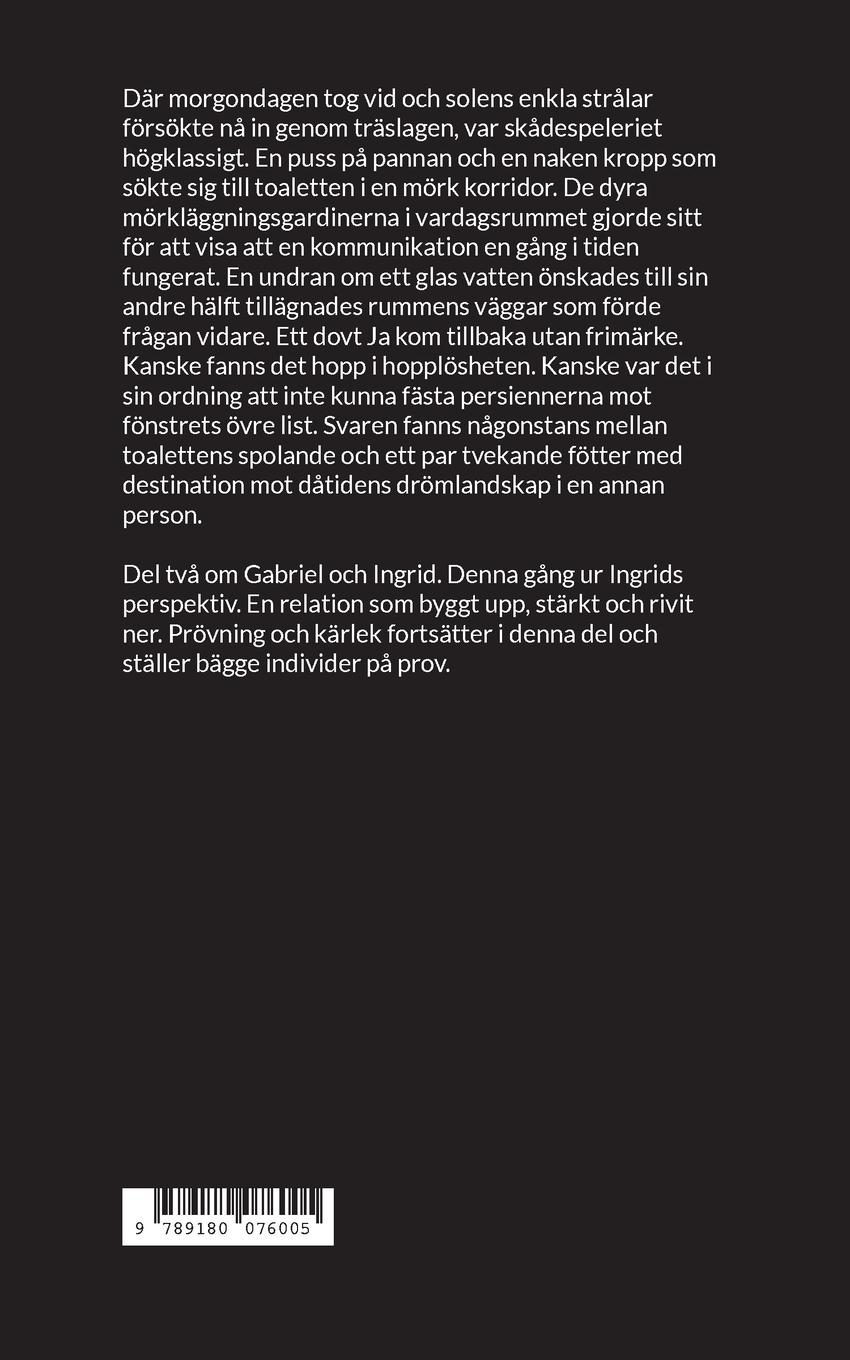 Rückseitencover Dagdrömmarens månresa