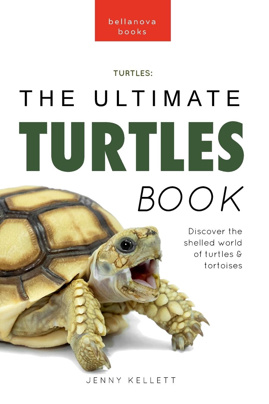 Vorderes Coverbild Turtles The Ultimate Turtles Book