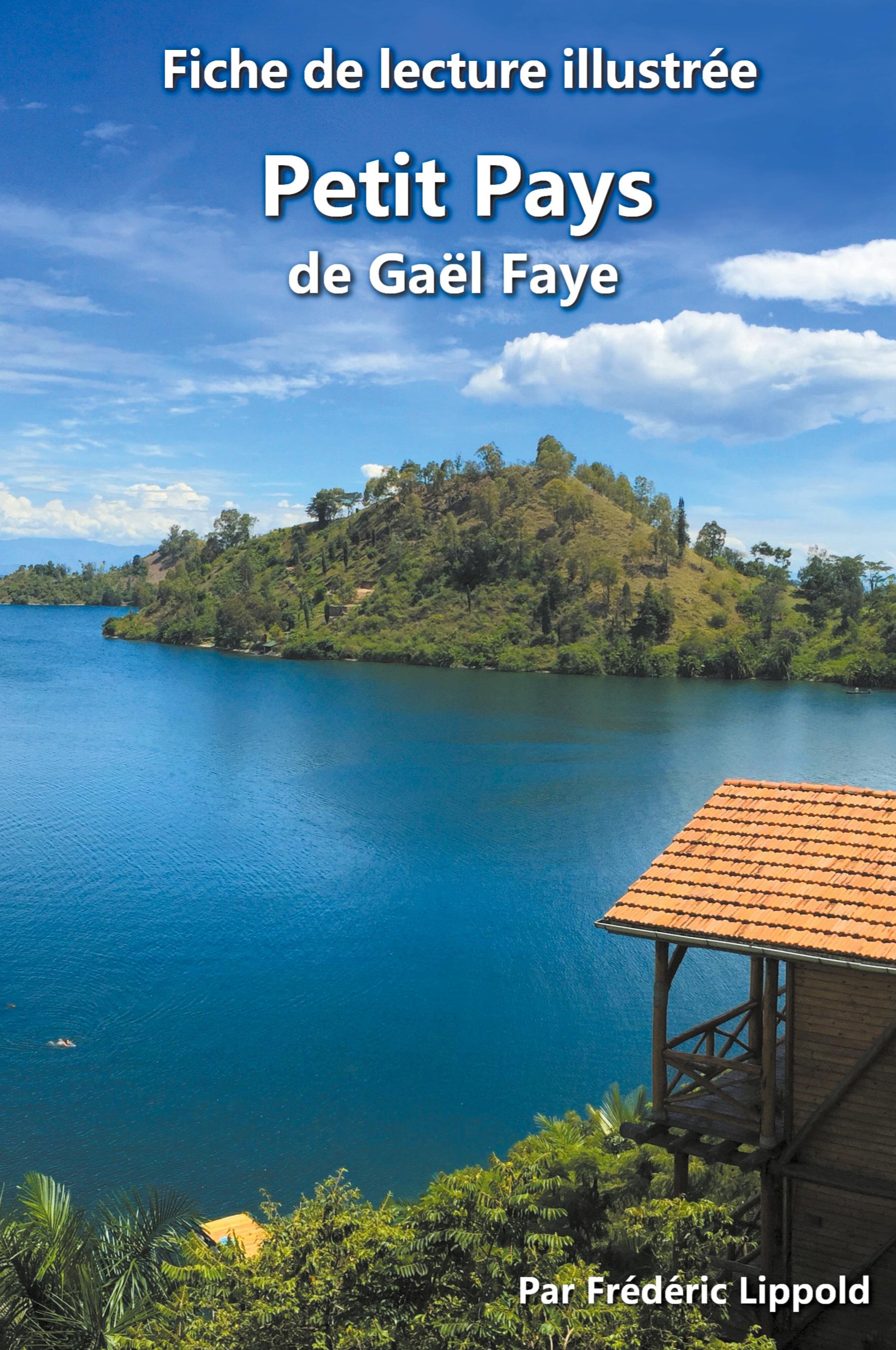 Vorderes Coverbild Fiche de lecture illustrée - Petit Pays, de Gaël Faye