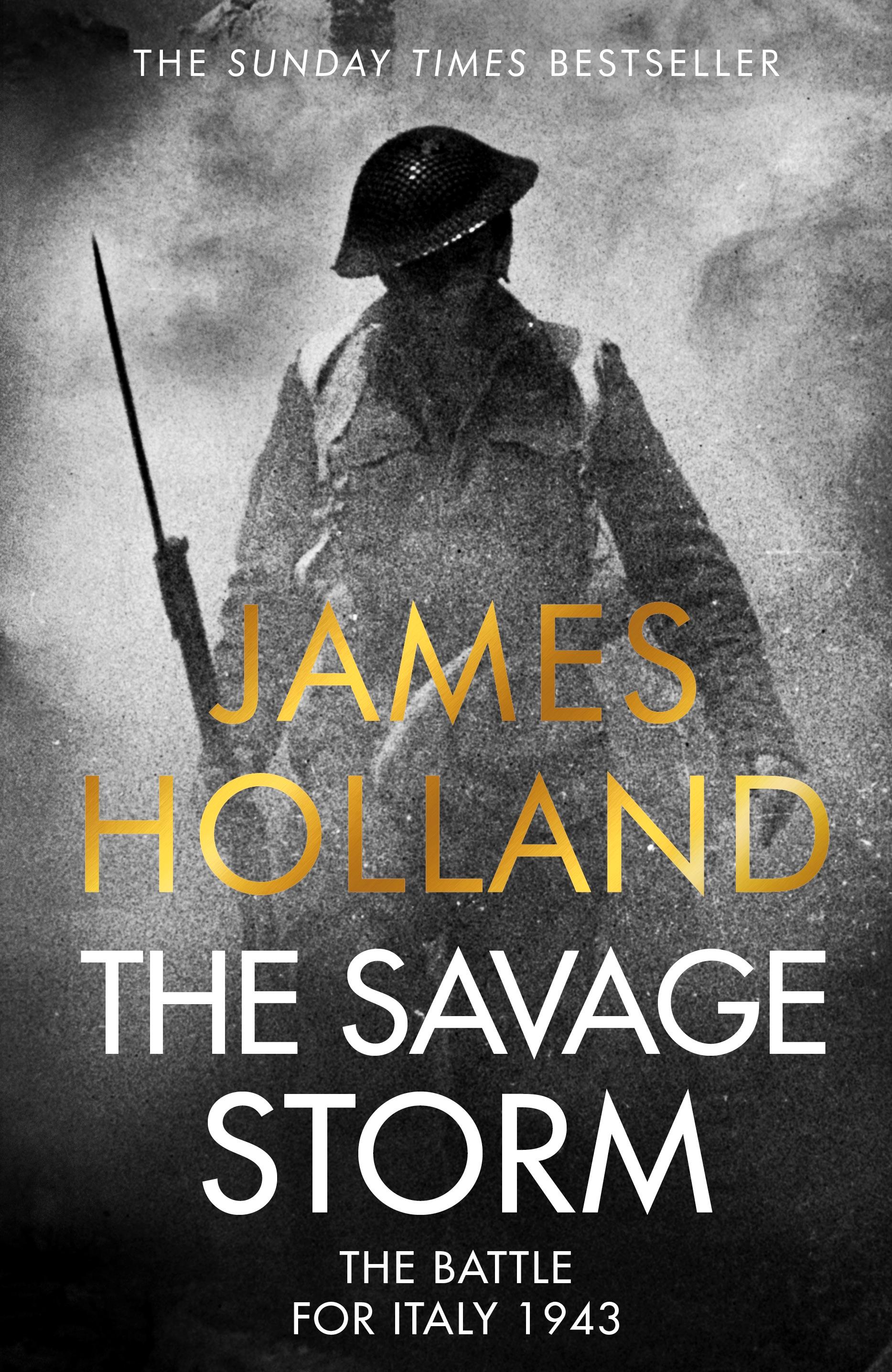 Vorderes Coverbild The Savage Storm